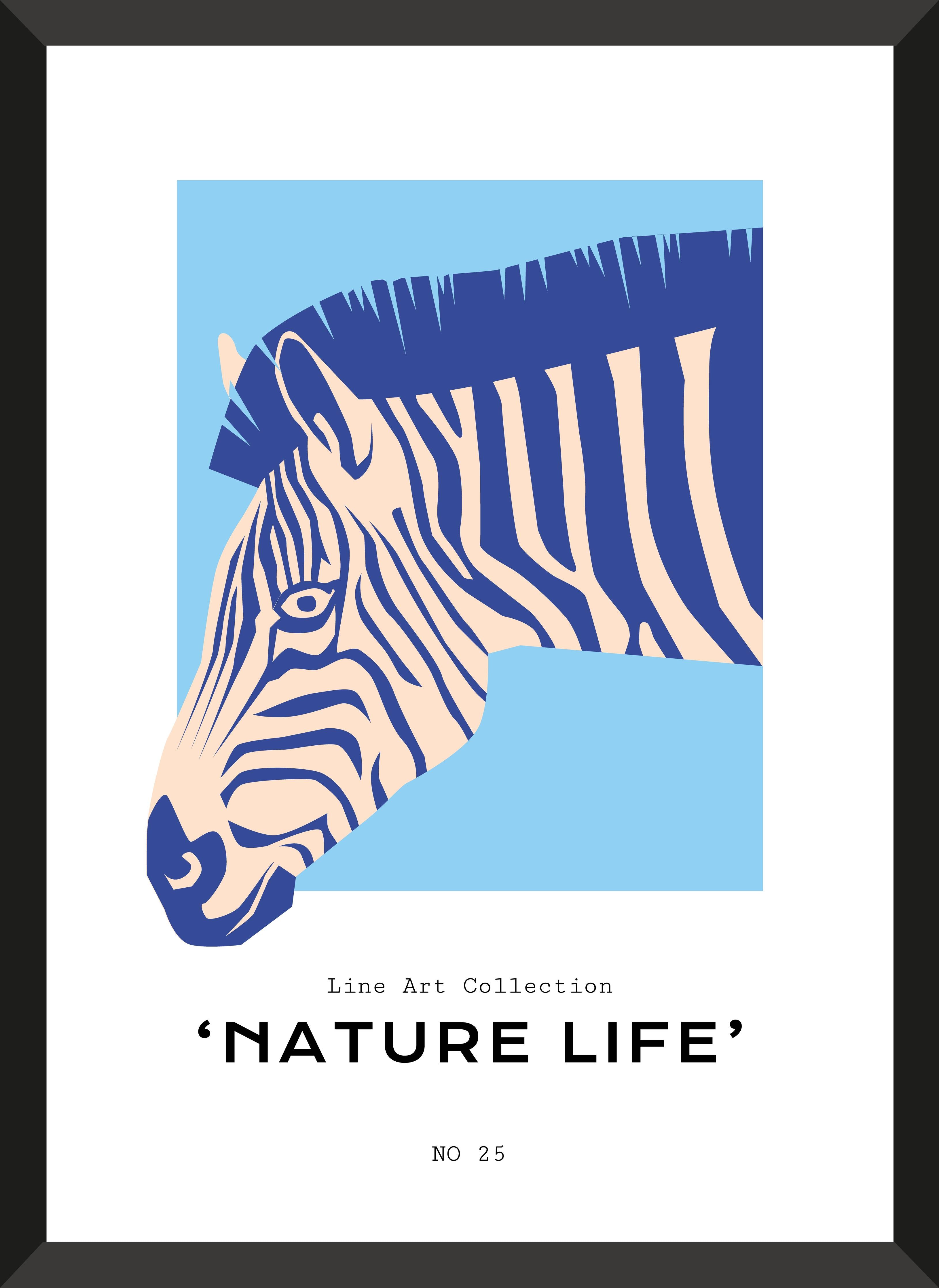 Große Wandbilder-Blau-weiße Zebra-Illustration