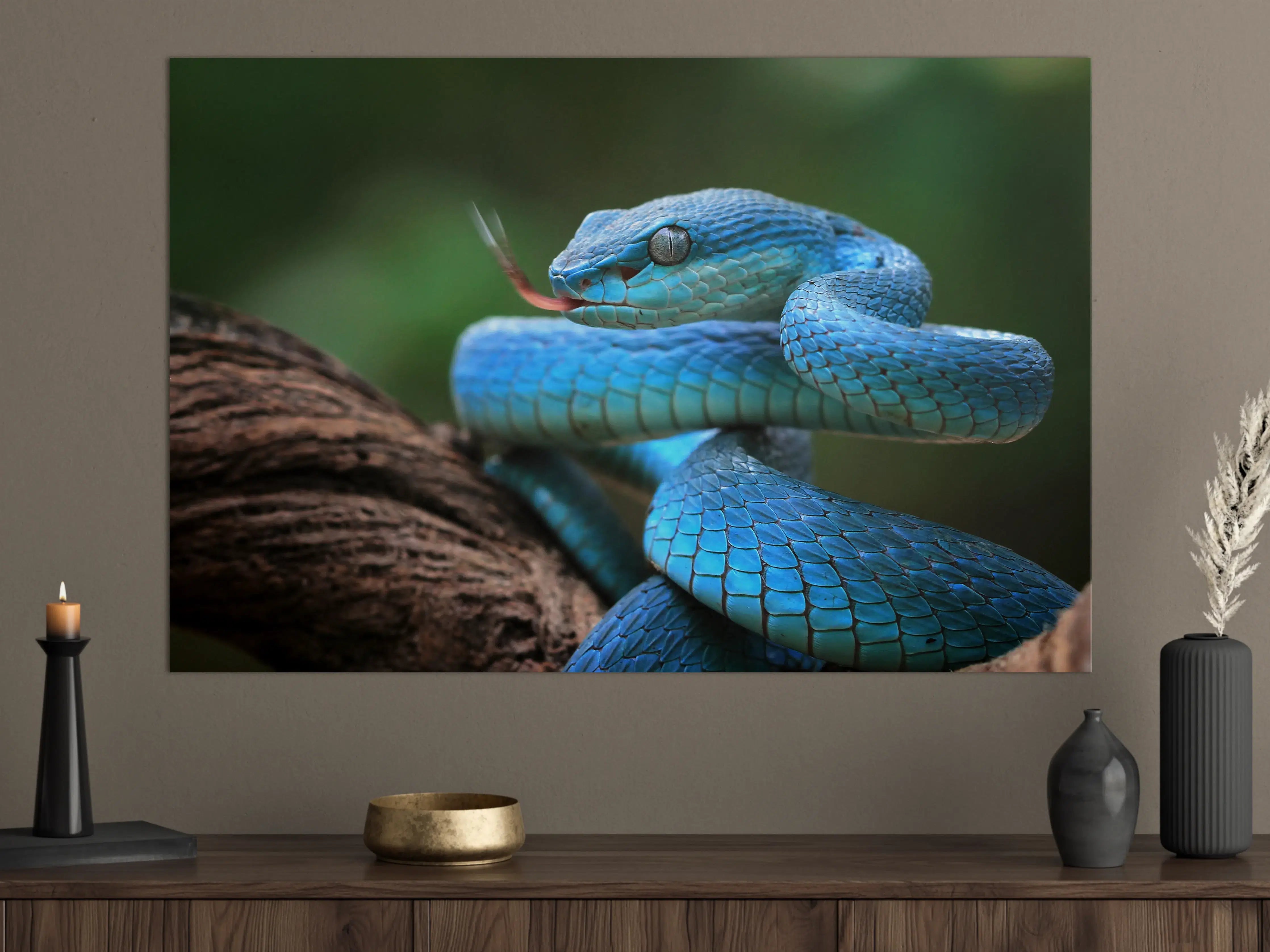 Große Wandbilder - Blaue Viper Nahaufnahme