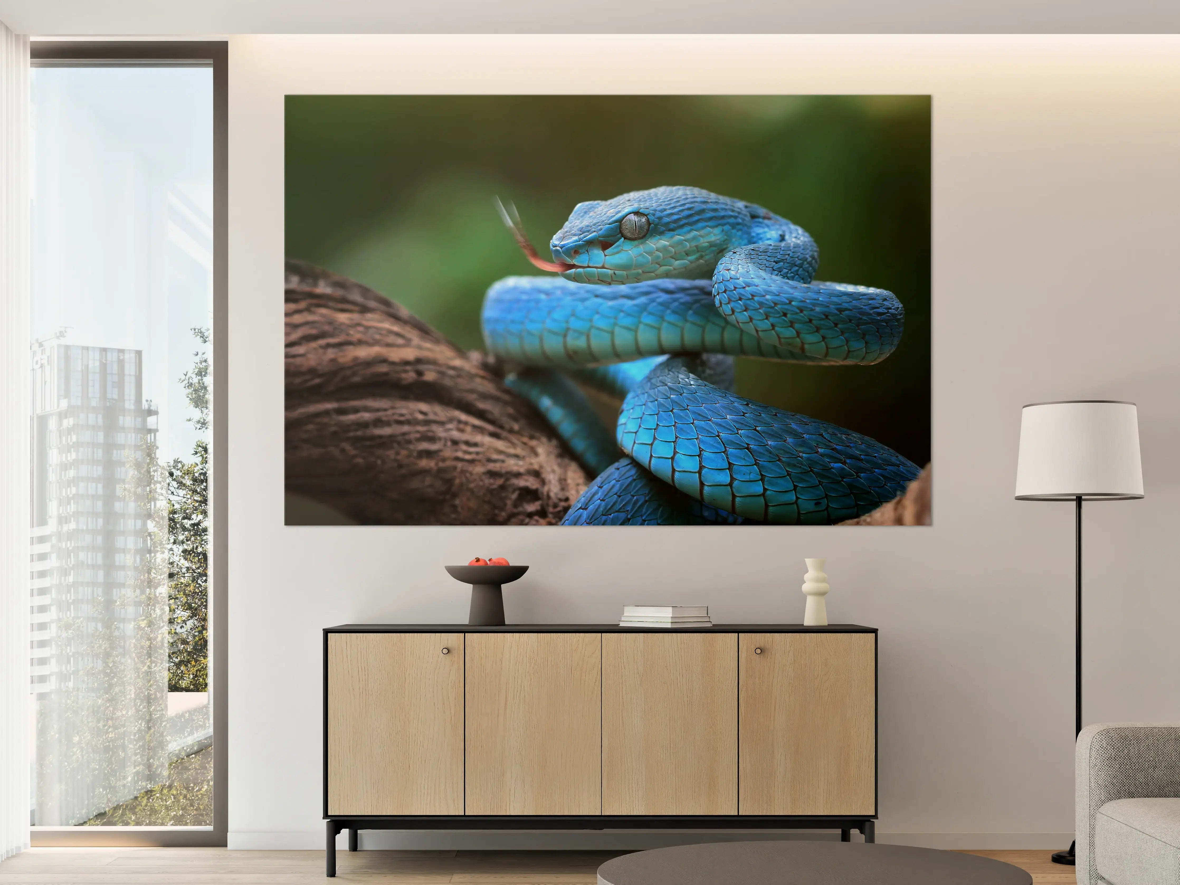 Große Wandbilder - Blaue Viper Nahaufnahme