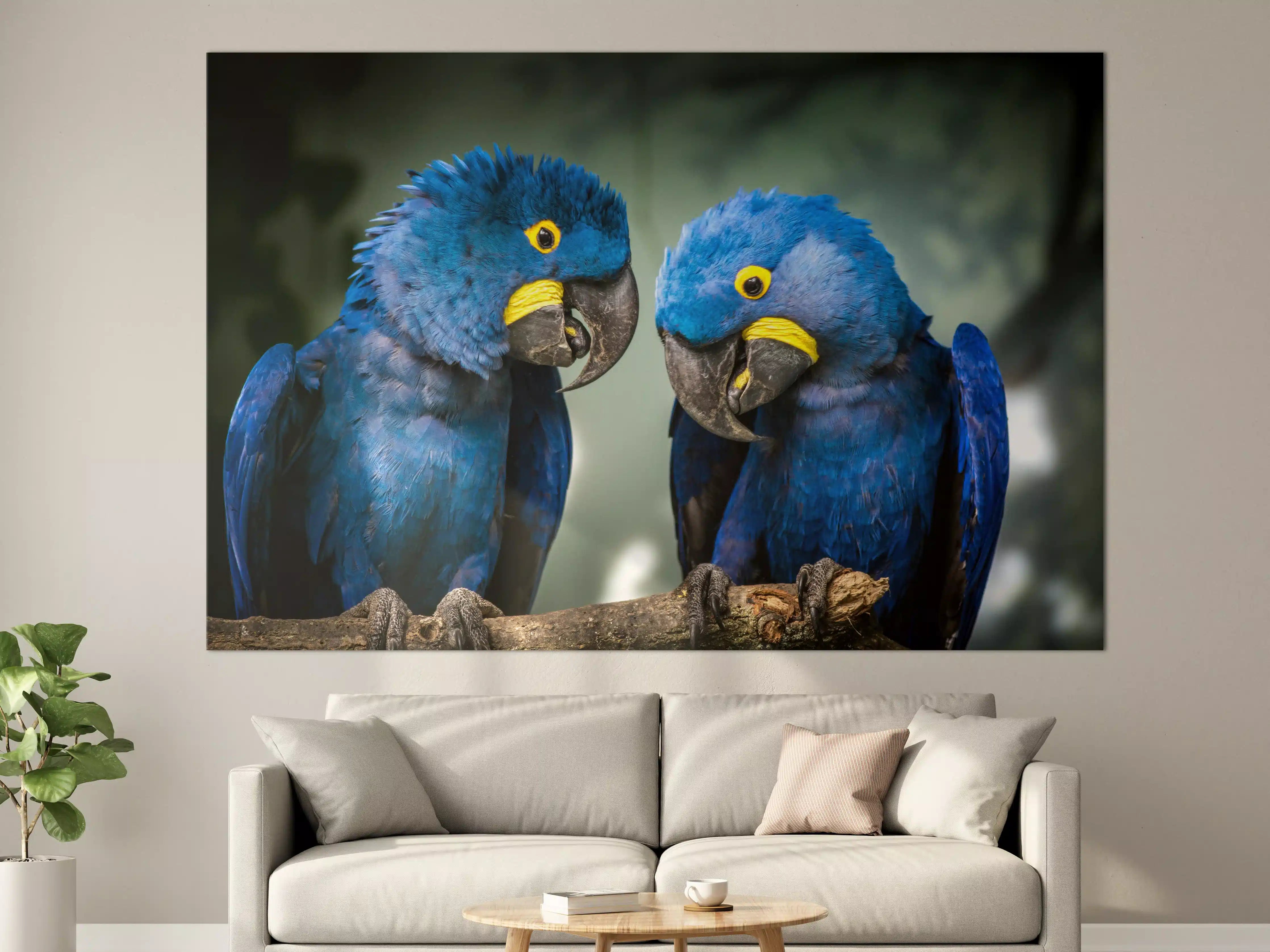 Große Wandbilder - Blauer Gelbschwarzer Ara