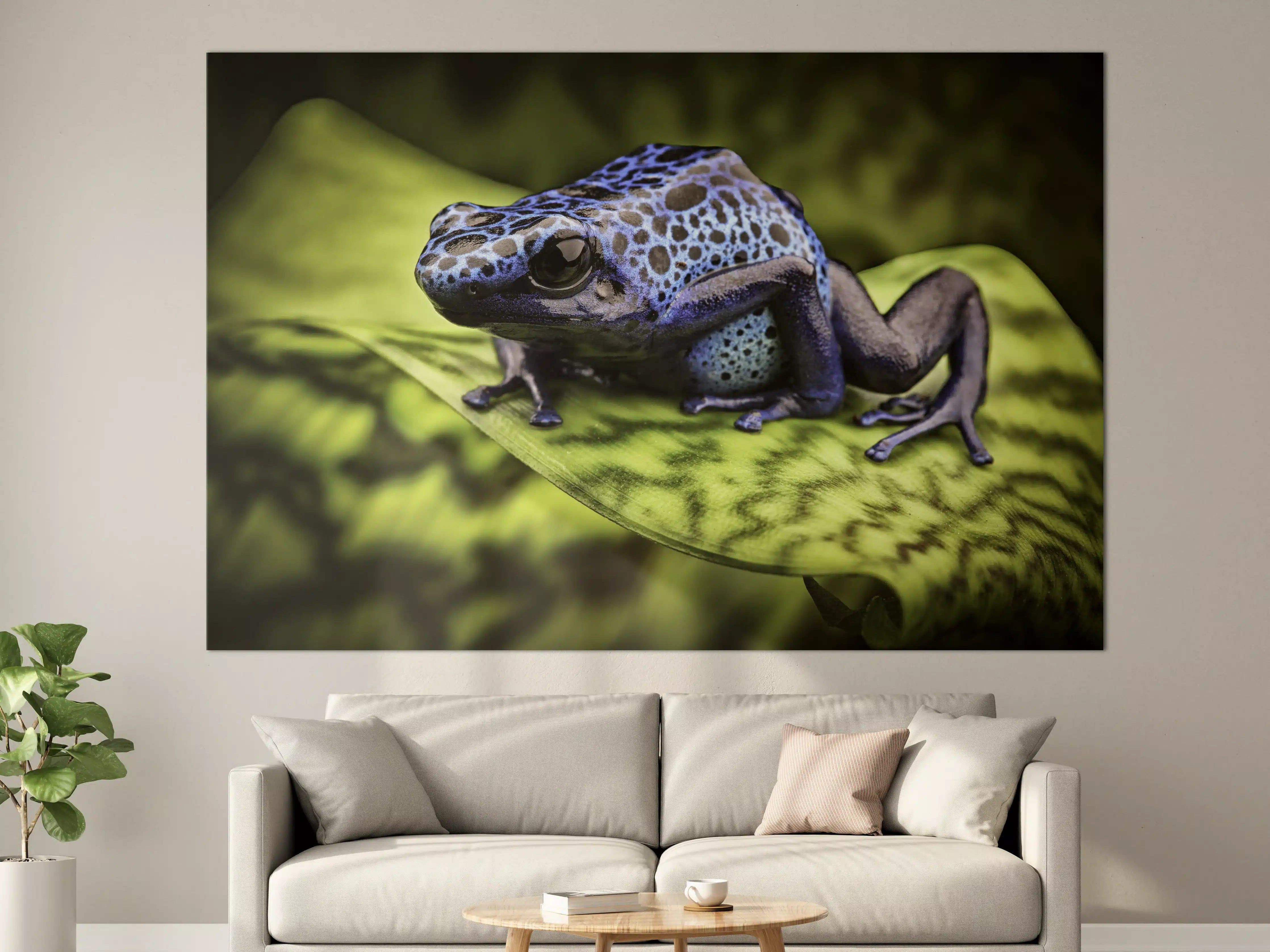 Große Wandbilder - Blauer Pfeilgiftfrosch im Amazonas