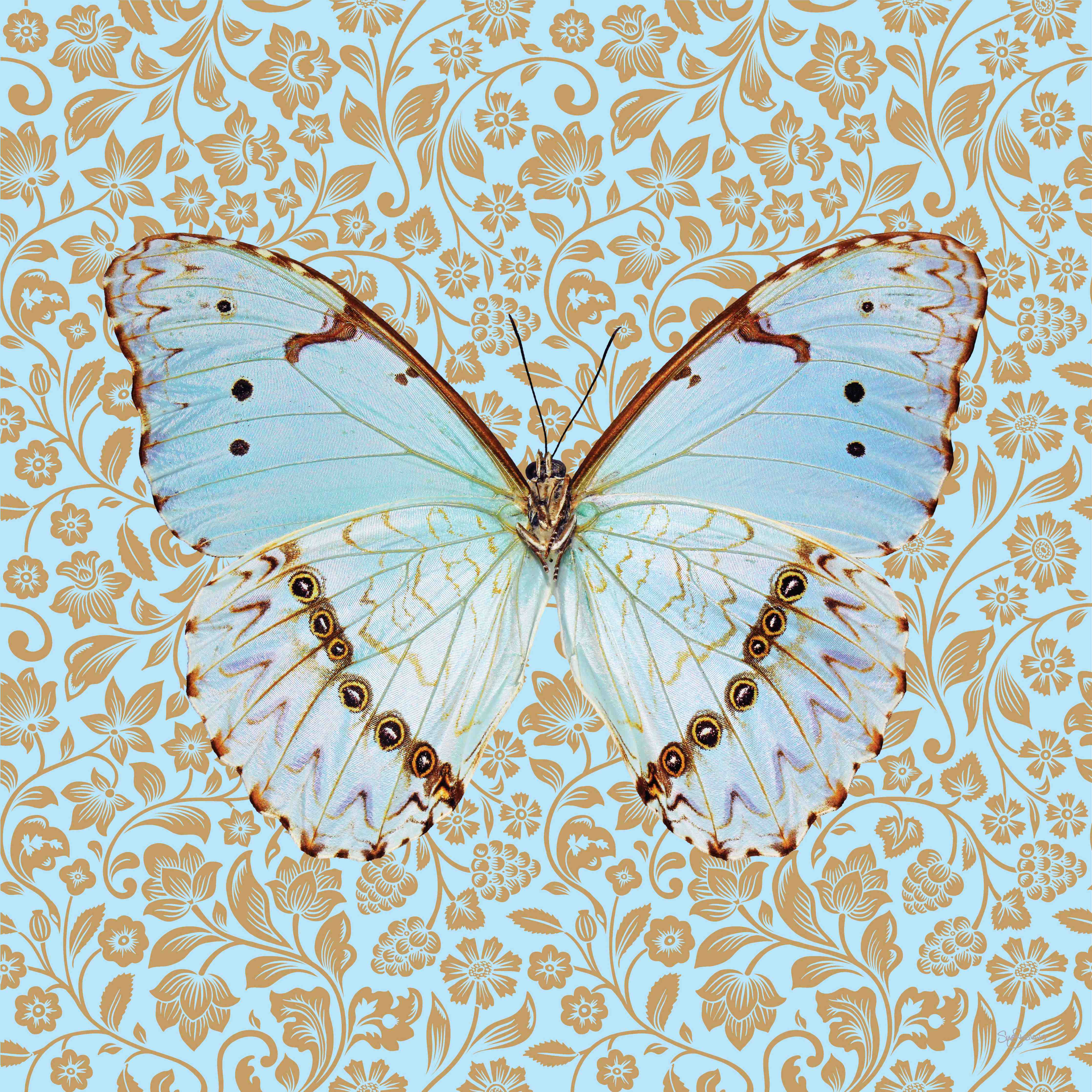 Große Wandbilder-Blauer Schmetterling auf floraler Hintergrund