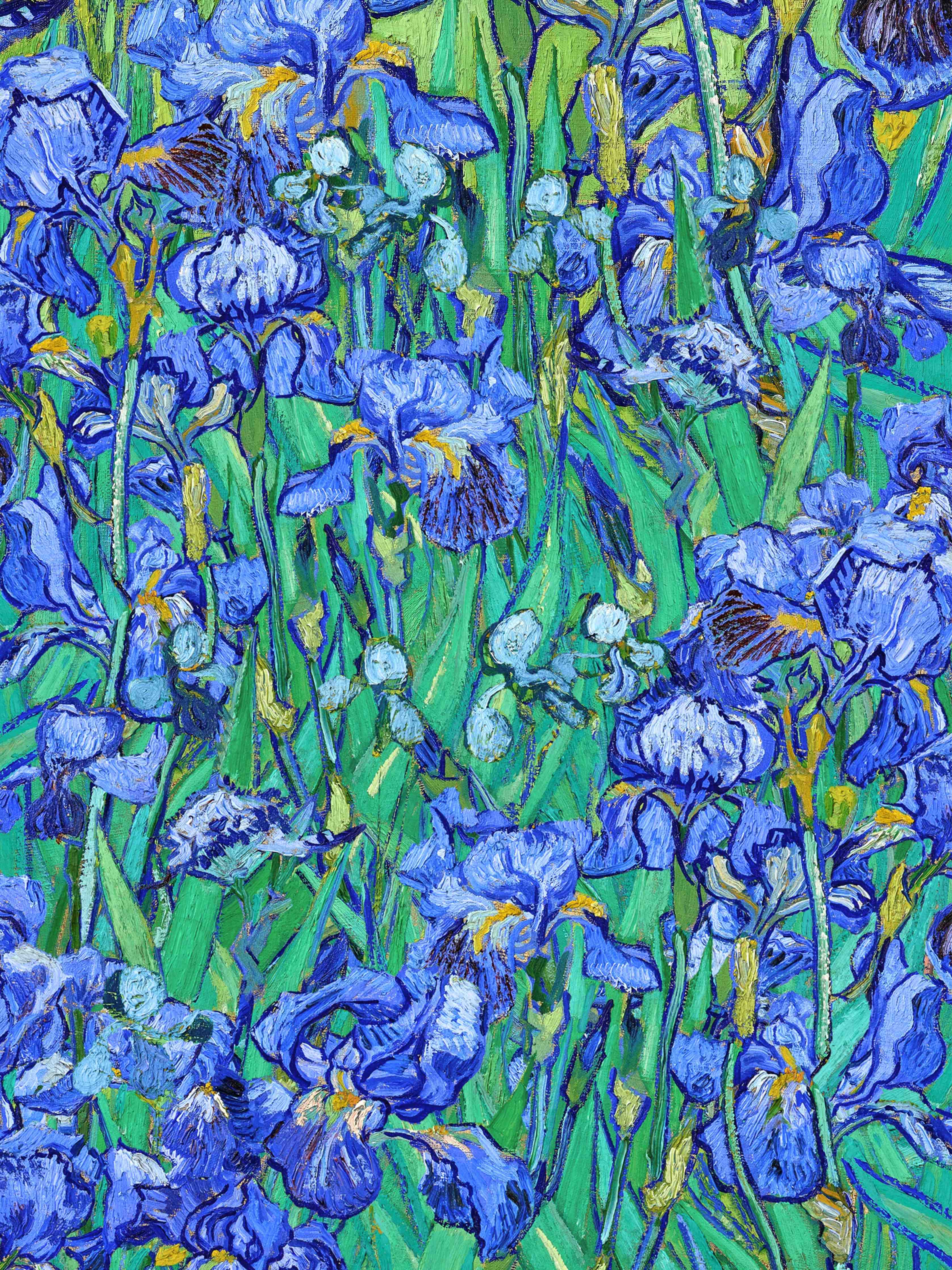 Große Wandbilder-Blühende Iris in Blau mit Grüntönen
