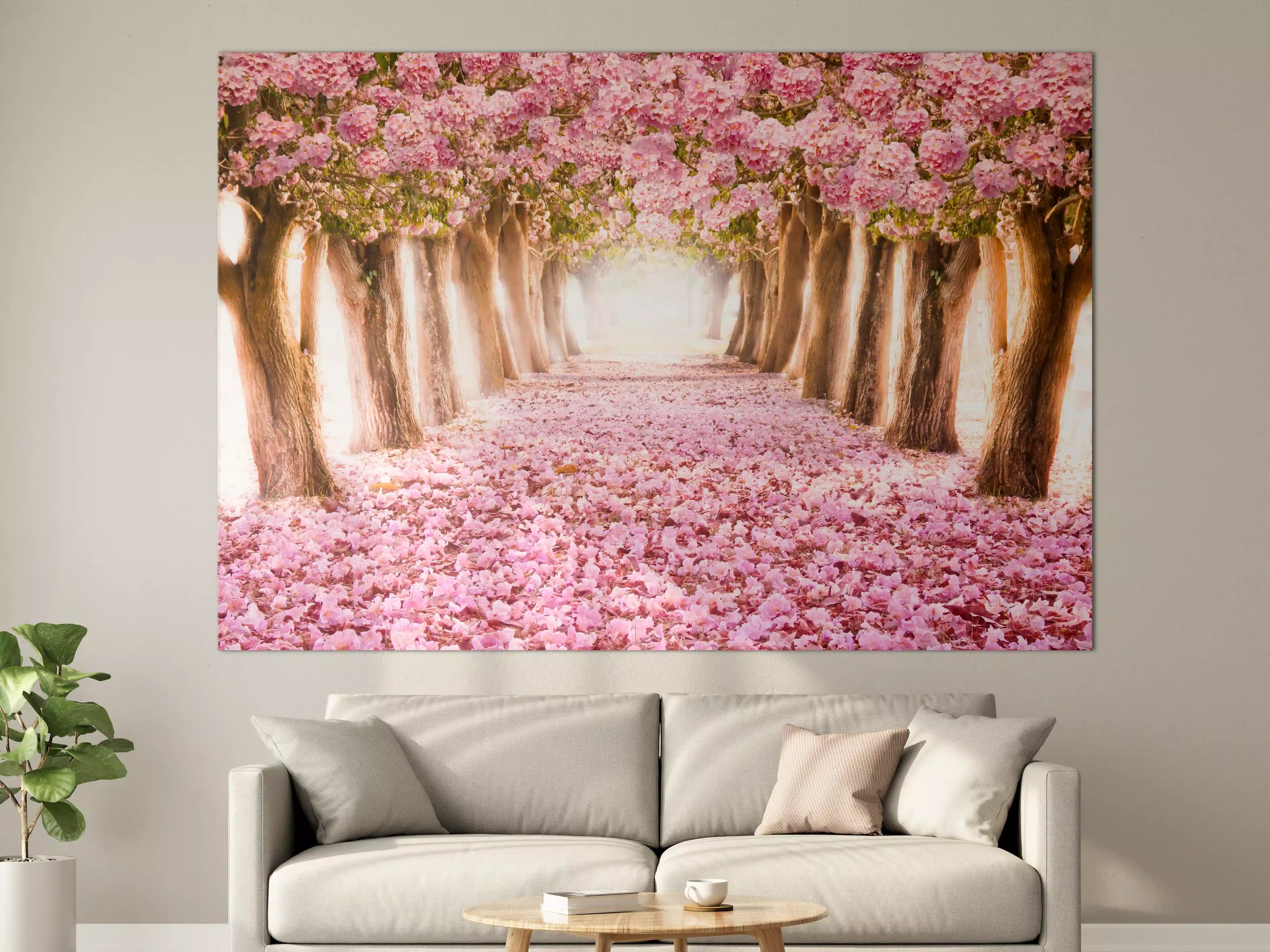 Große Wandbilder - Blühender Baumweg im Pinken Frühlingslicht