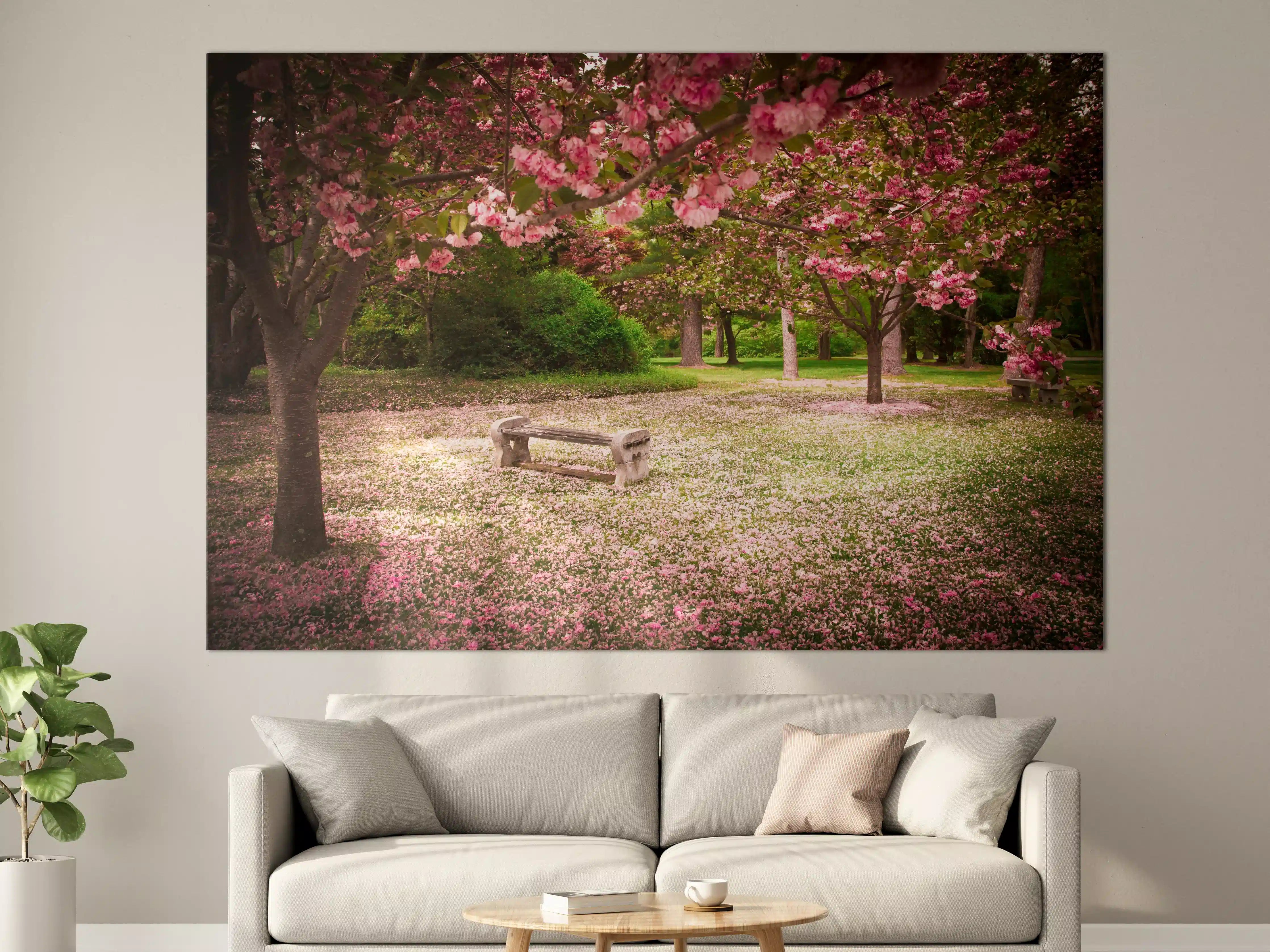 Große Wandbilder - Blühender Park mit Baum und Bank