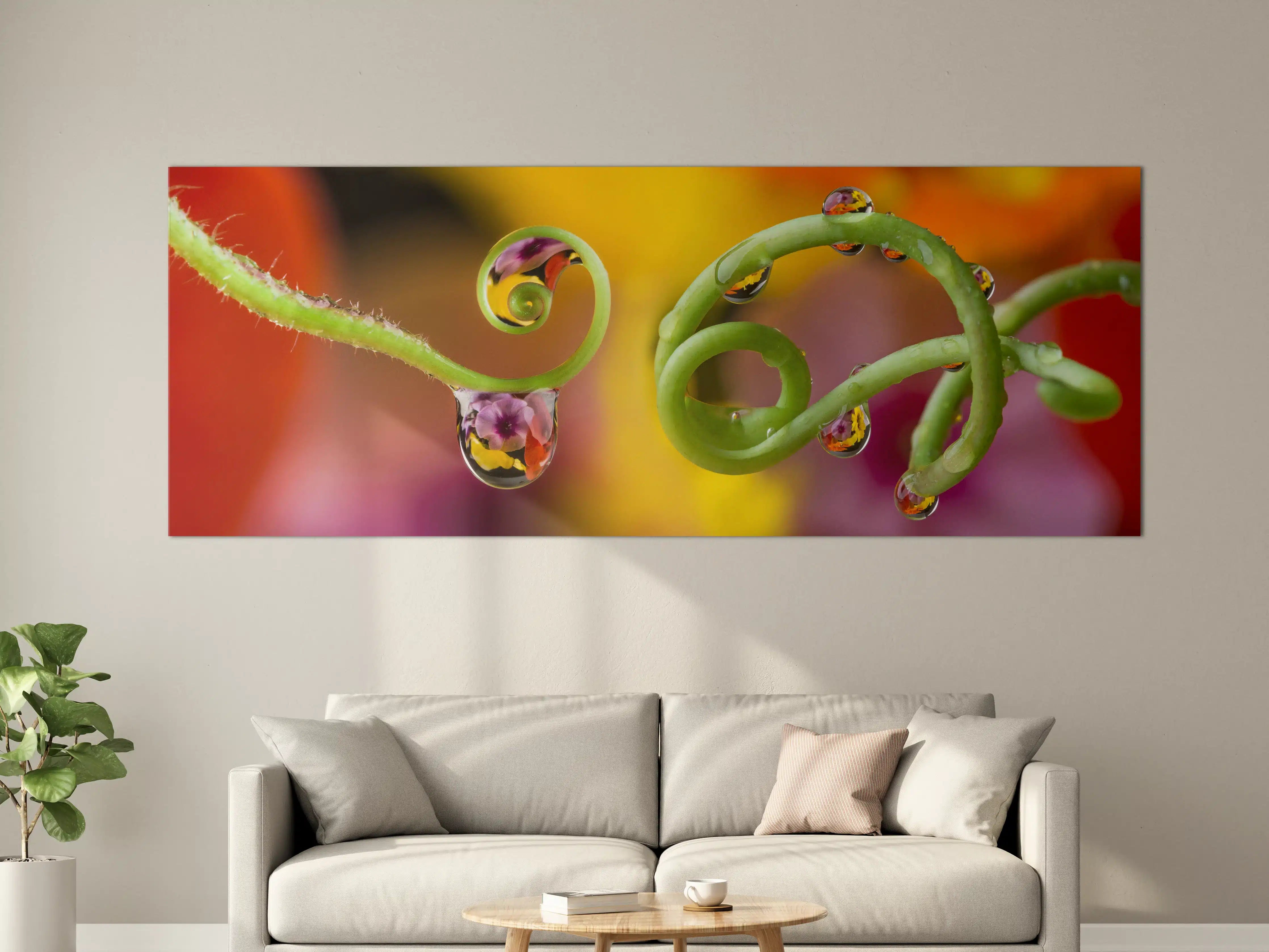 Große Wandbilder - Blume mit abstrakten Tropfen