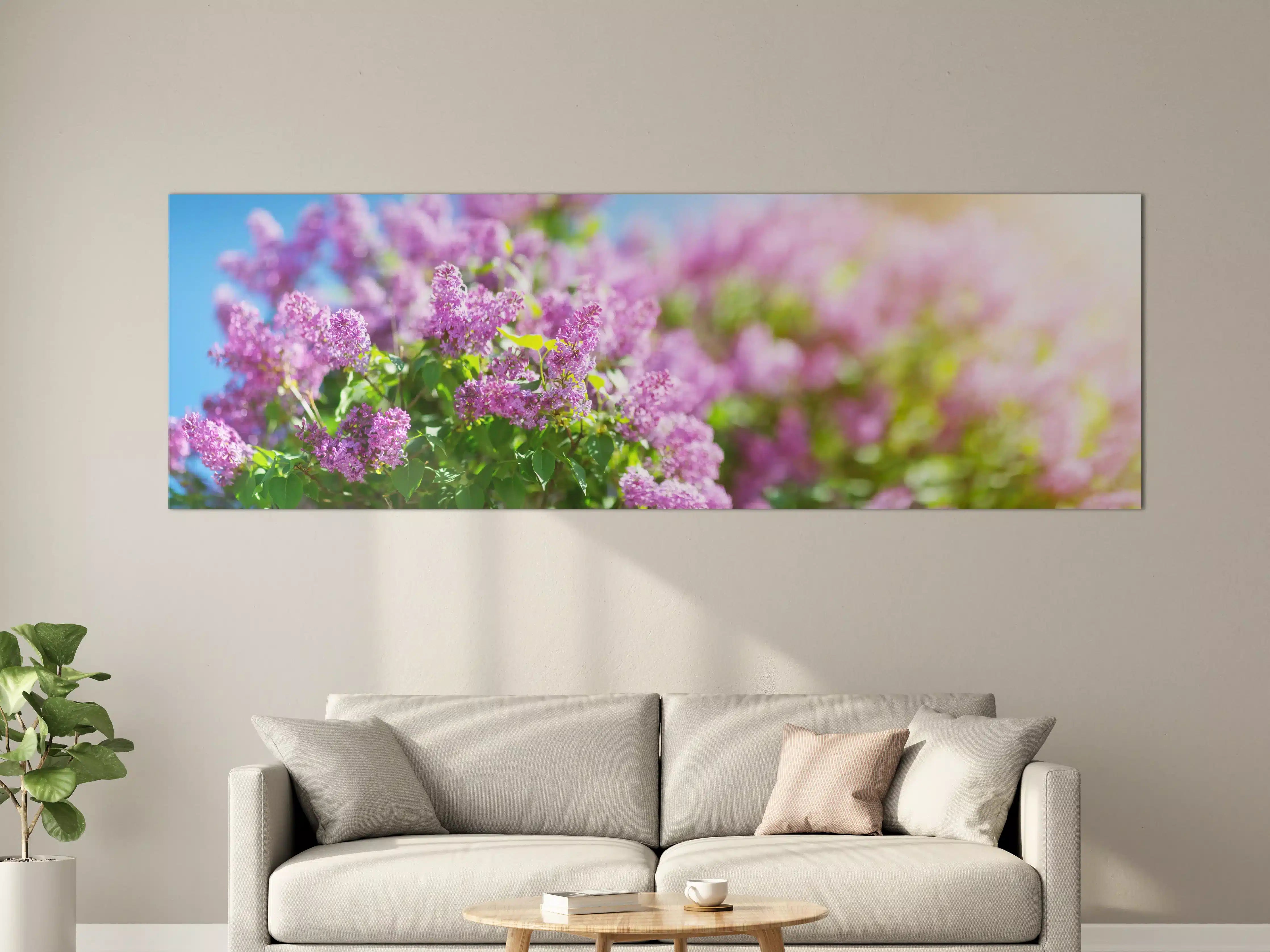 Große Wandbilder - Blumen blühen auf im Frühling