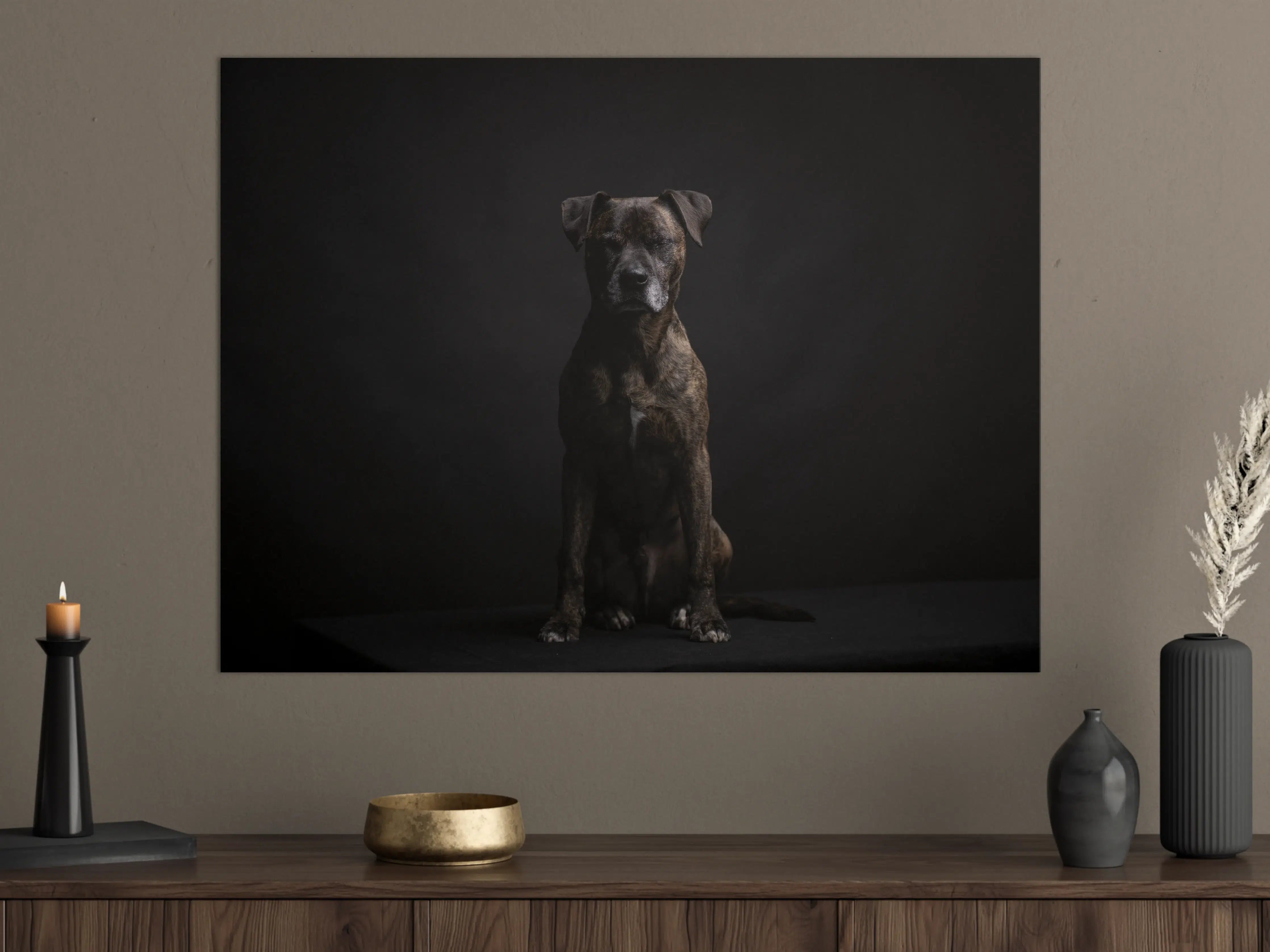 Große Wandbilder - Boxer Staffordshire Hund