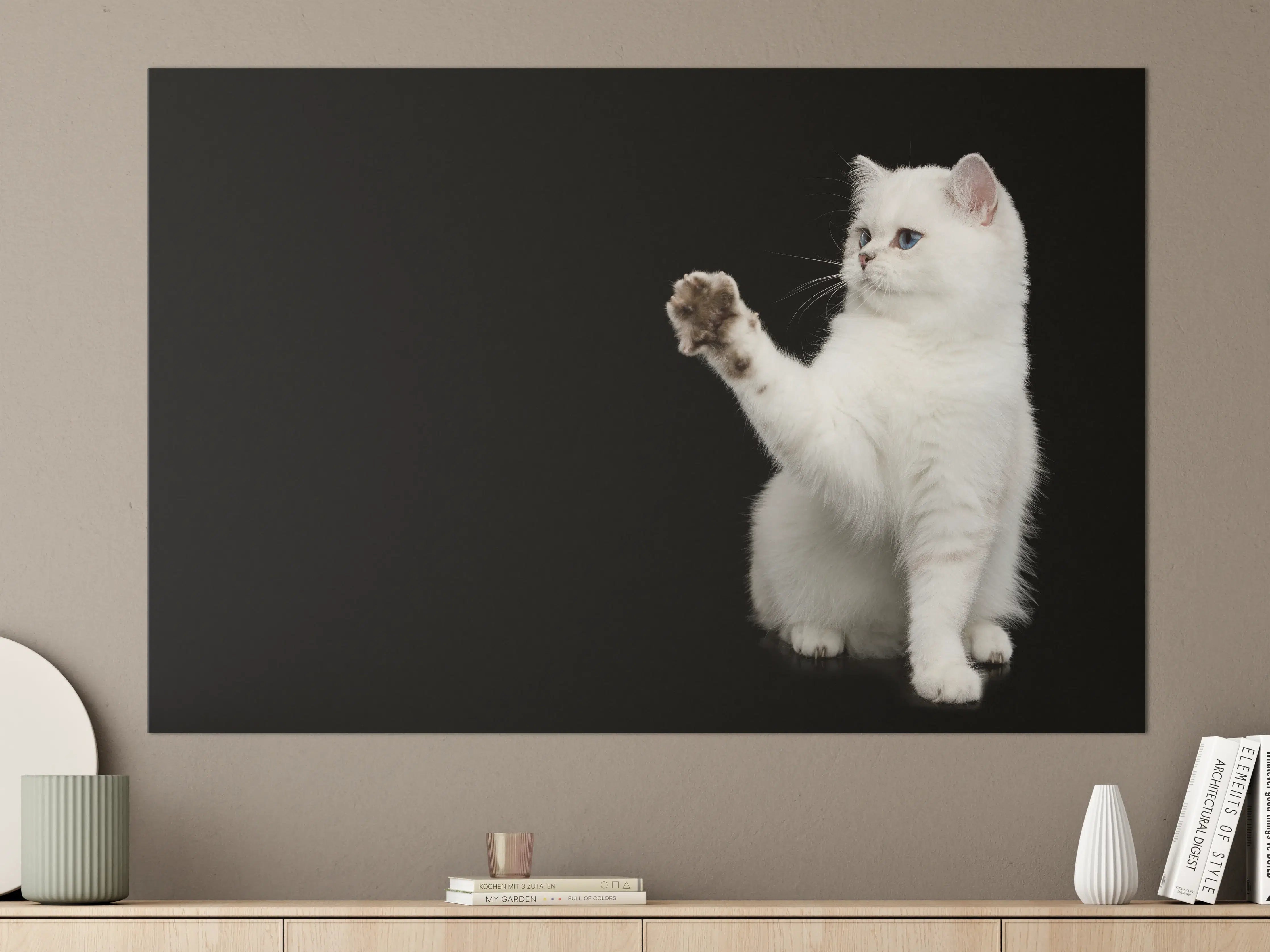Große Wandbilder - British weiße Katze