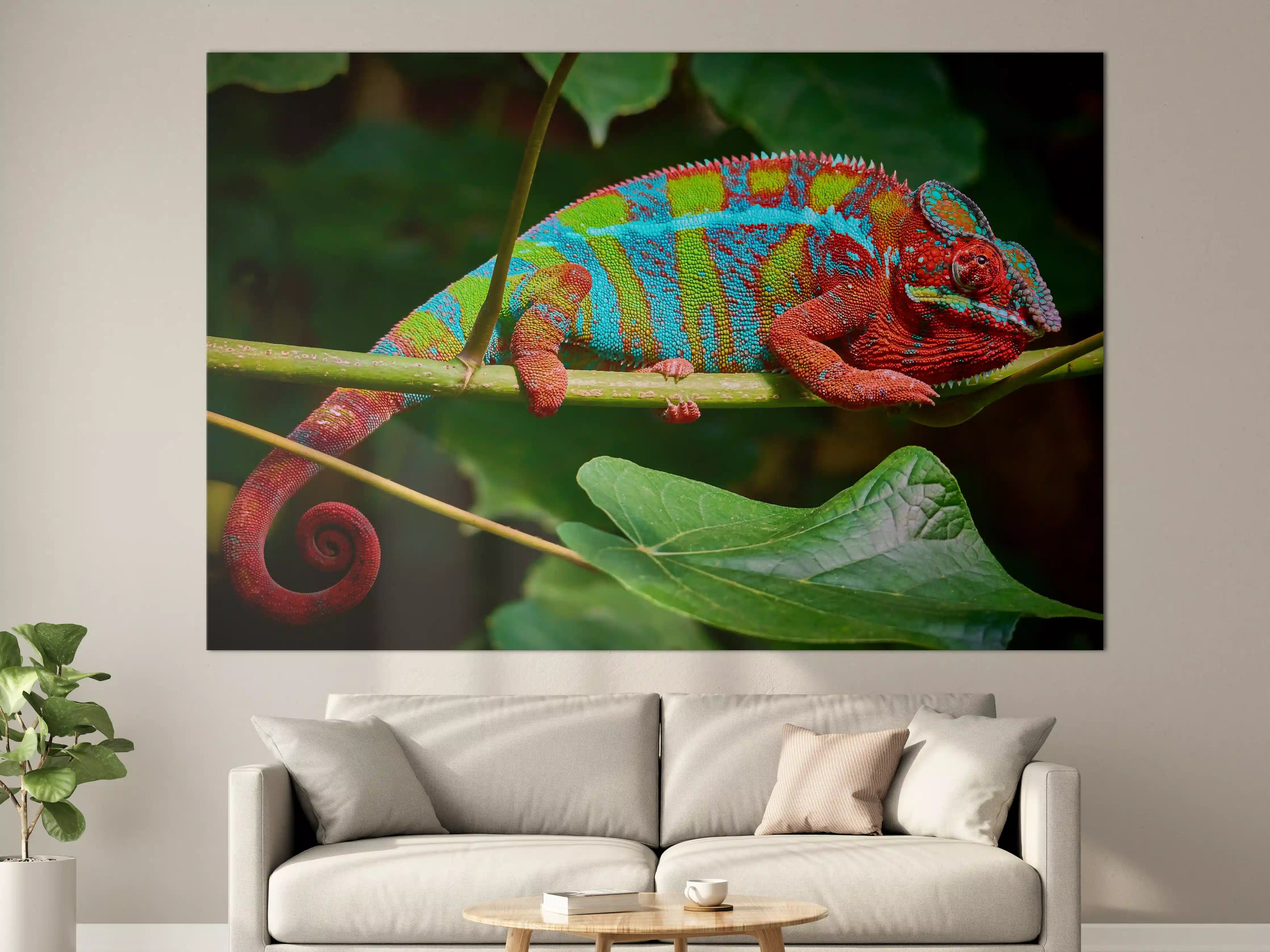 Große Wandbilder - Bunte Panter-Chamäleon auf Zweig