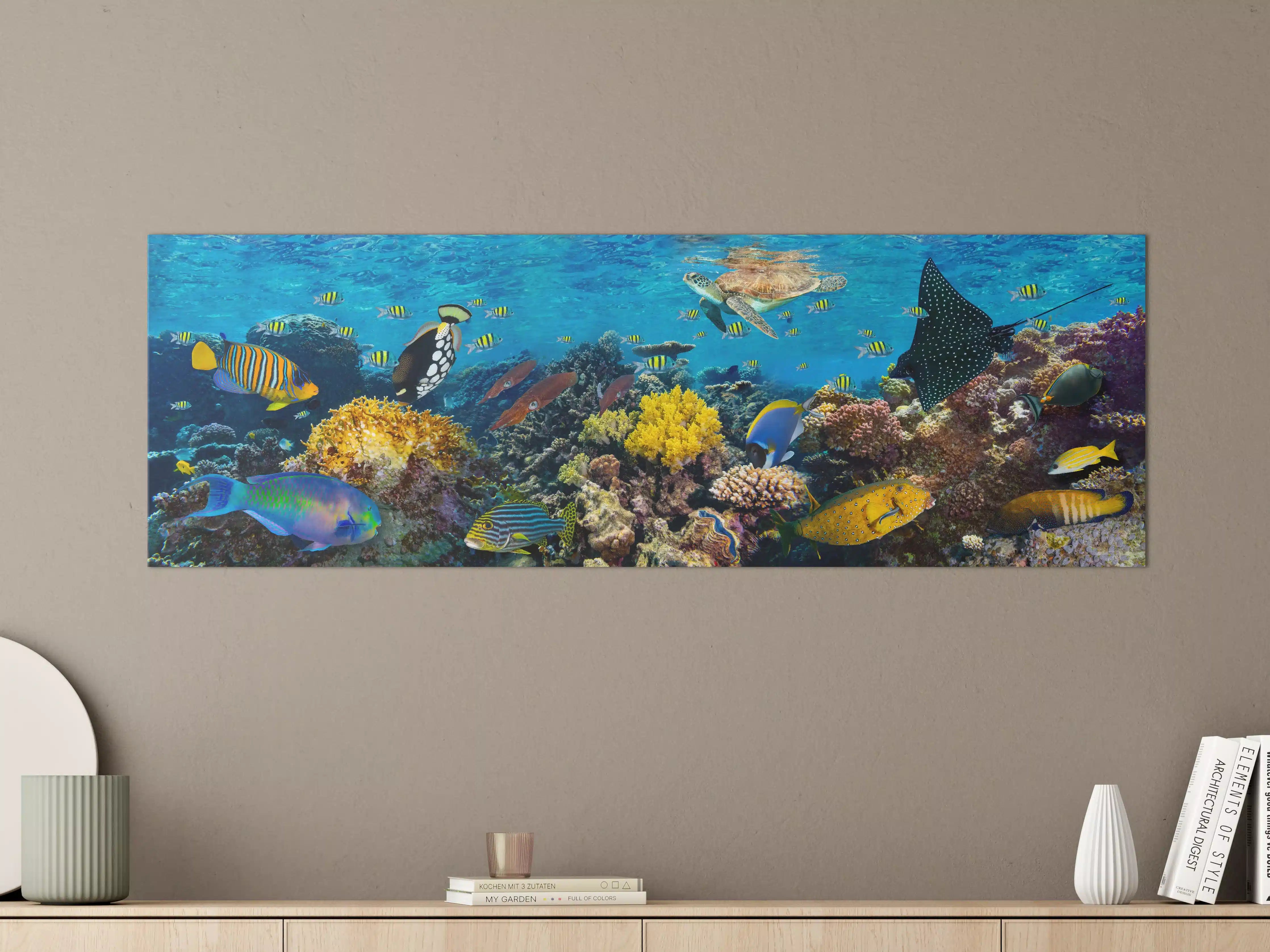 Große Wandbilder - Buntes Korallenriff Panorama