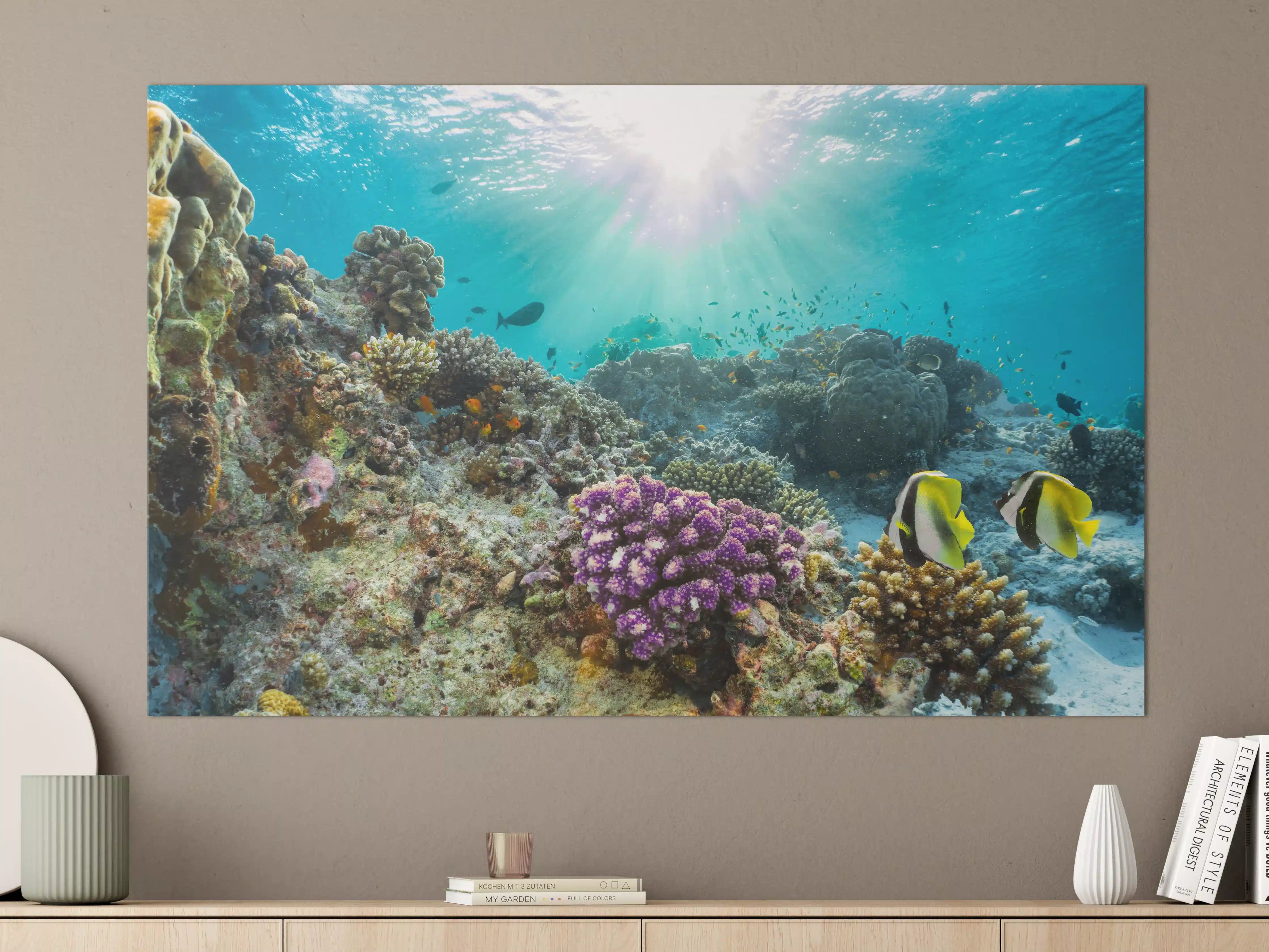 Große Wandbilder - Buntes Korallenriff in den Malediven