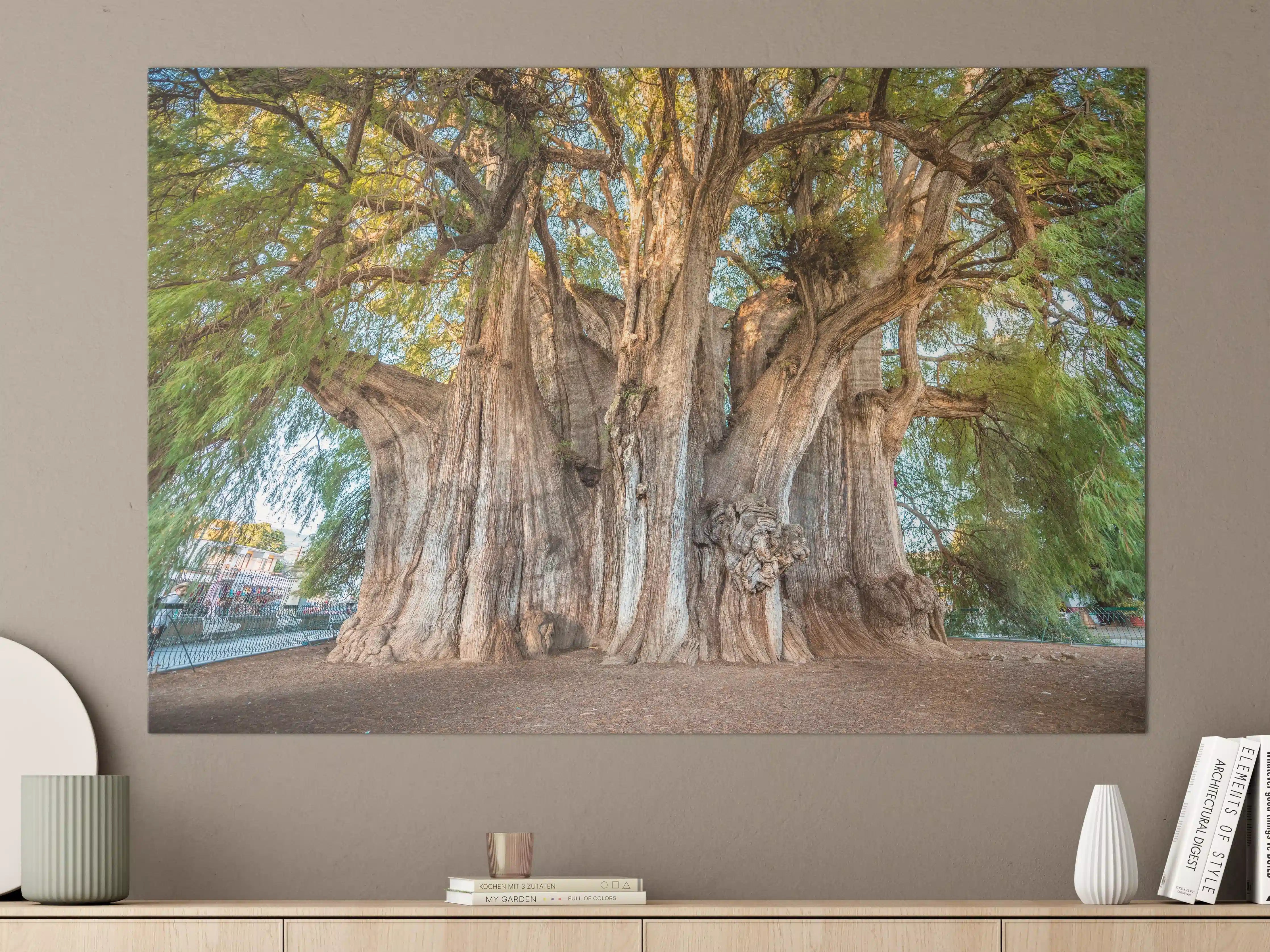Große Wandbilder - Der größte Baum der Welt - Mexico