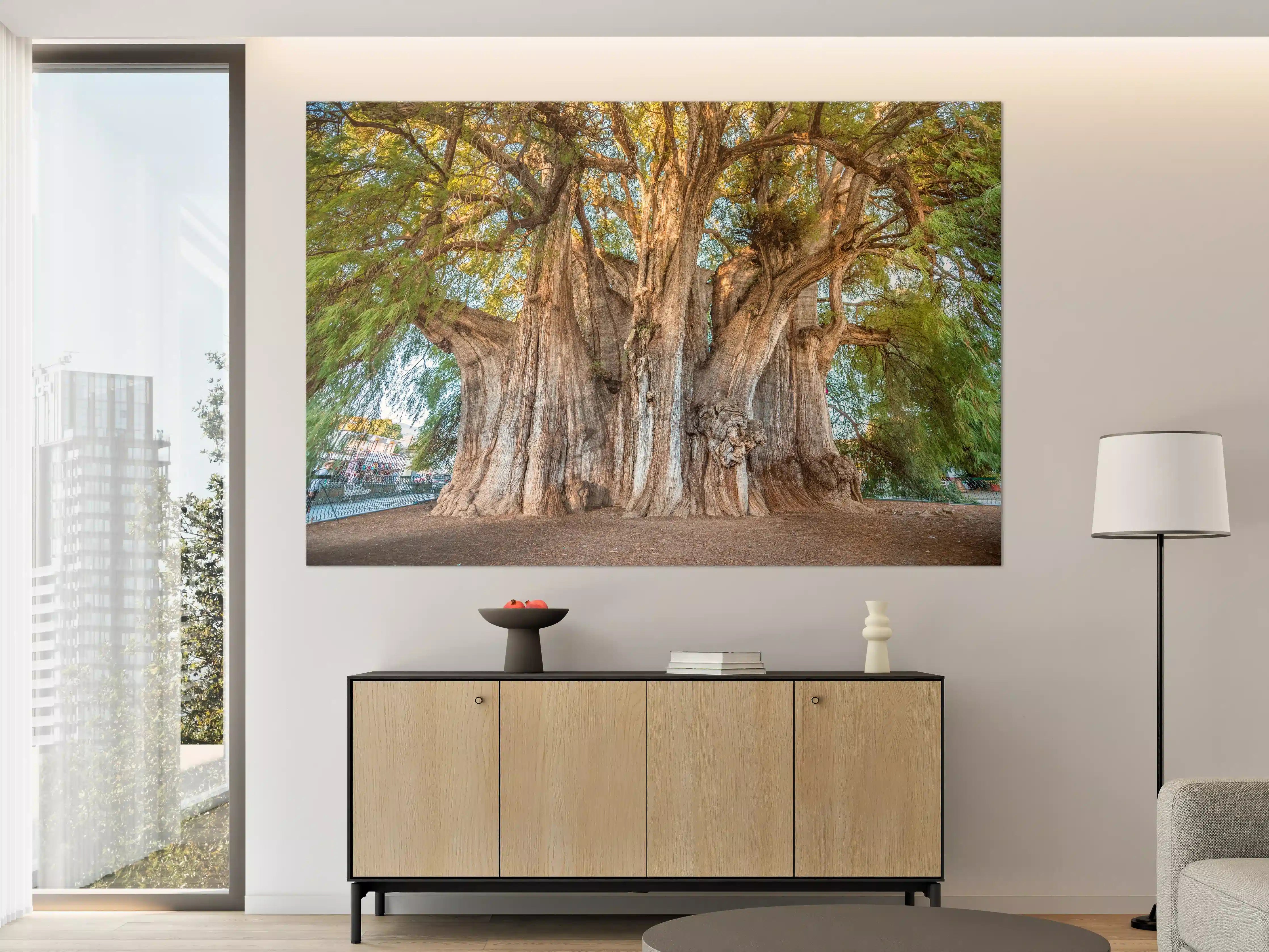 Große Wandbilder - Der größte Baum der Welt - Mexico
