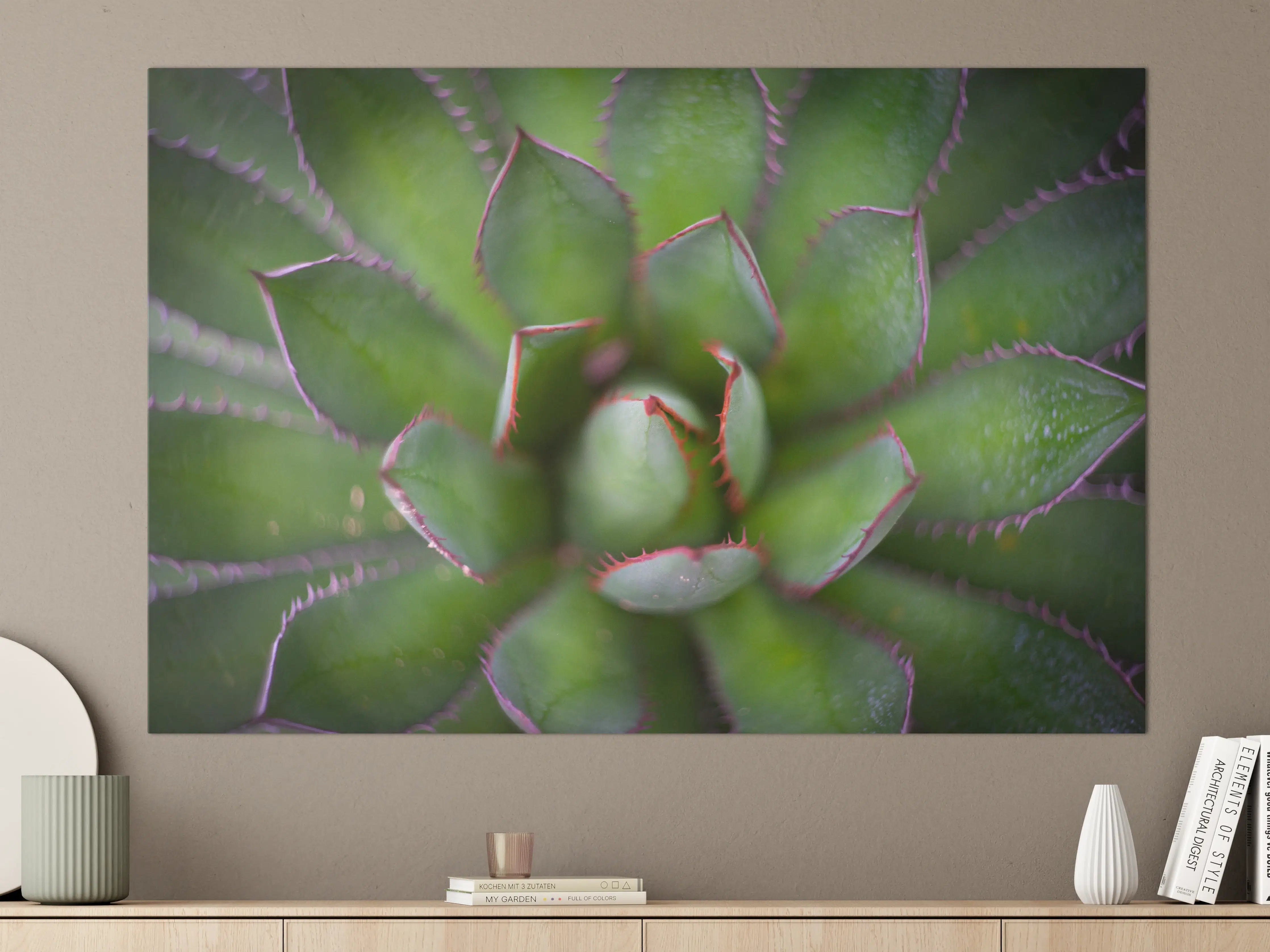 Große Wandbilder - Detailreiche Grüne Agave Pflanze