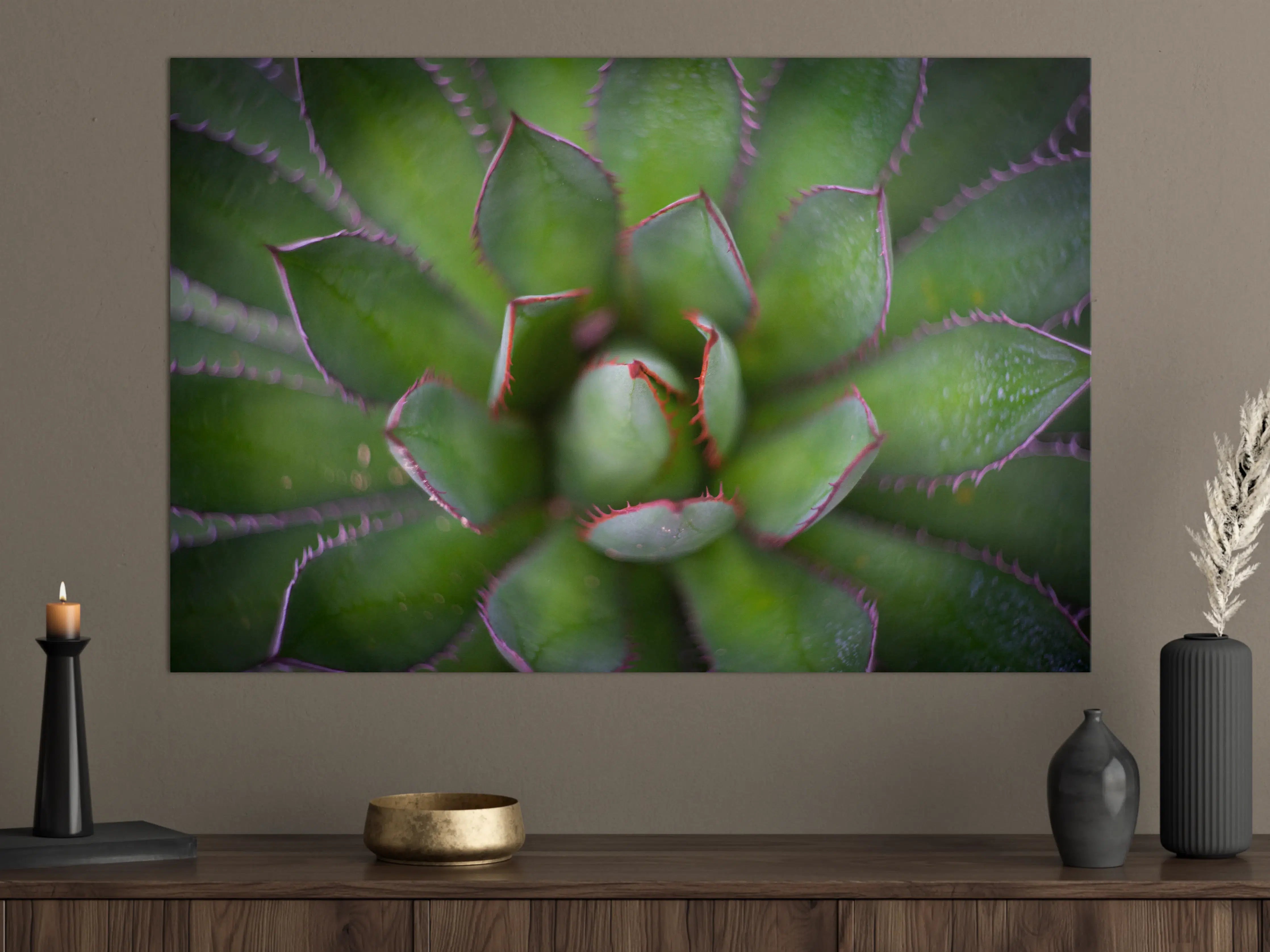 Große Wandbilder - Detailreiche Grüne Agave Pflanze
