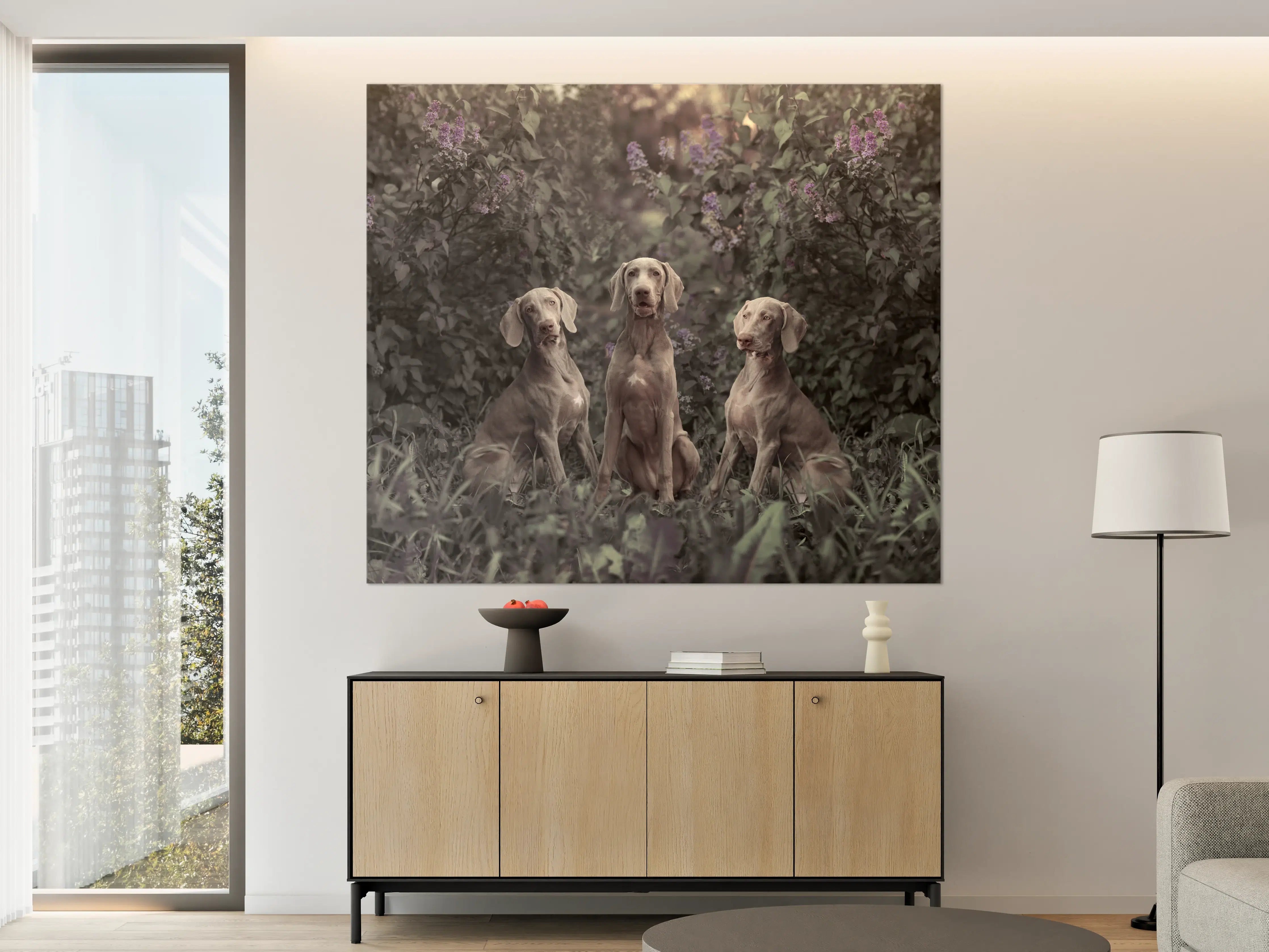 Große Wandbilder - Drei Weimaranerhunde sitzend im Fliedergebüsch