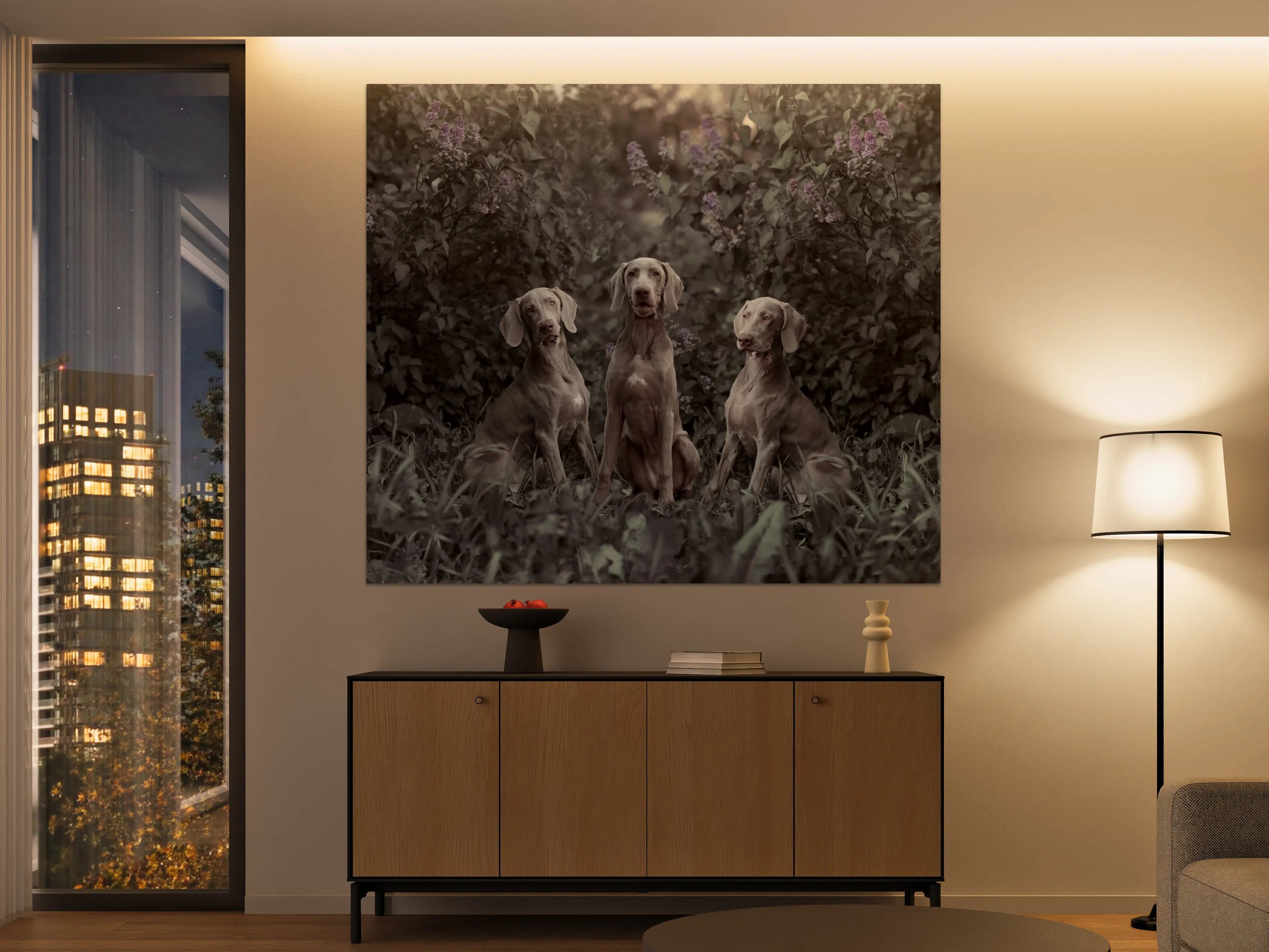 Große Wandbilder - Drei Weimaranerhunde sitzend im Fliedergebüsch