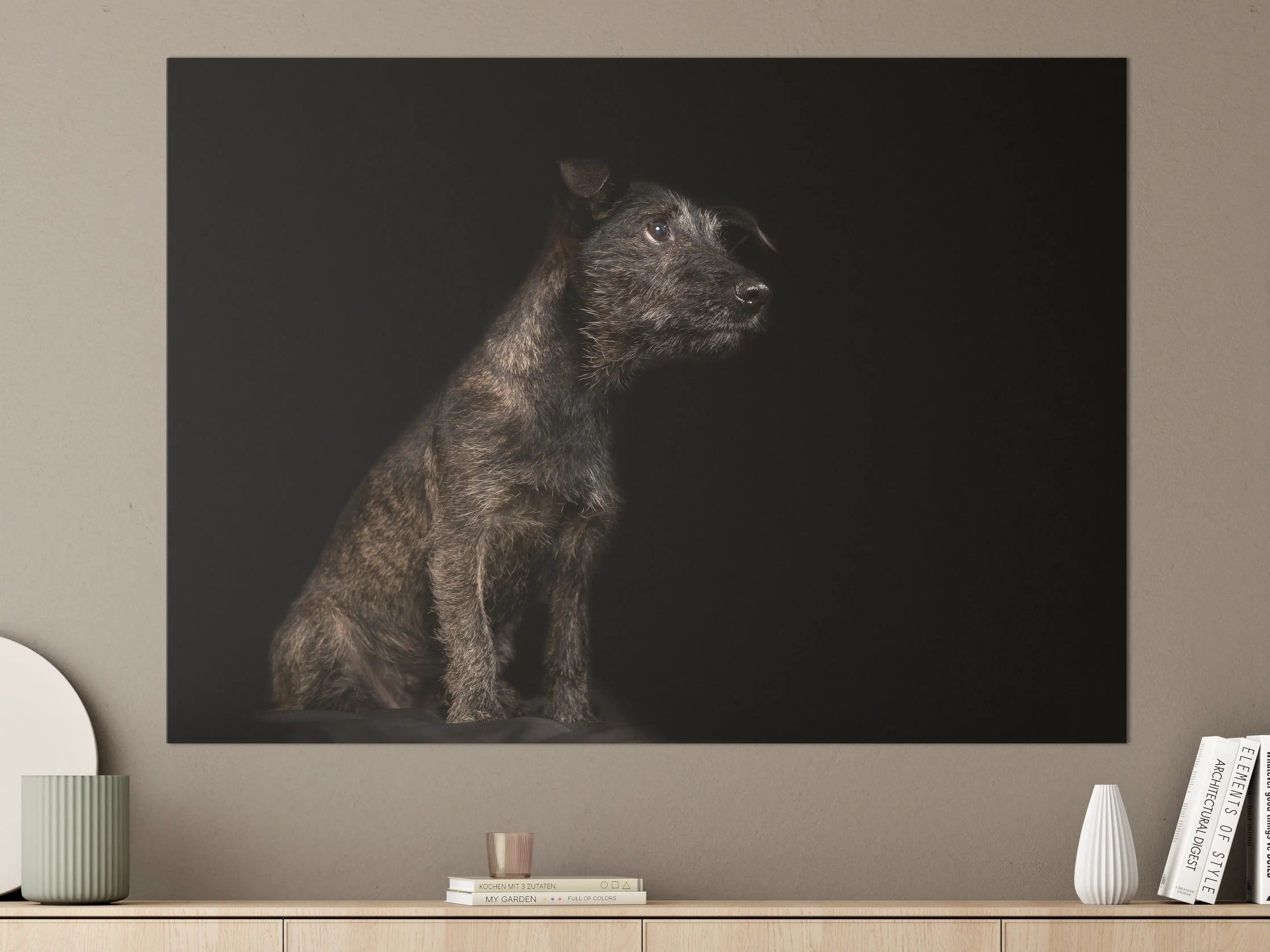 Große Wandbilder - Dunkler Cairn Terrier Hund