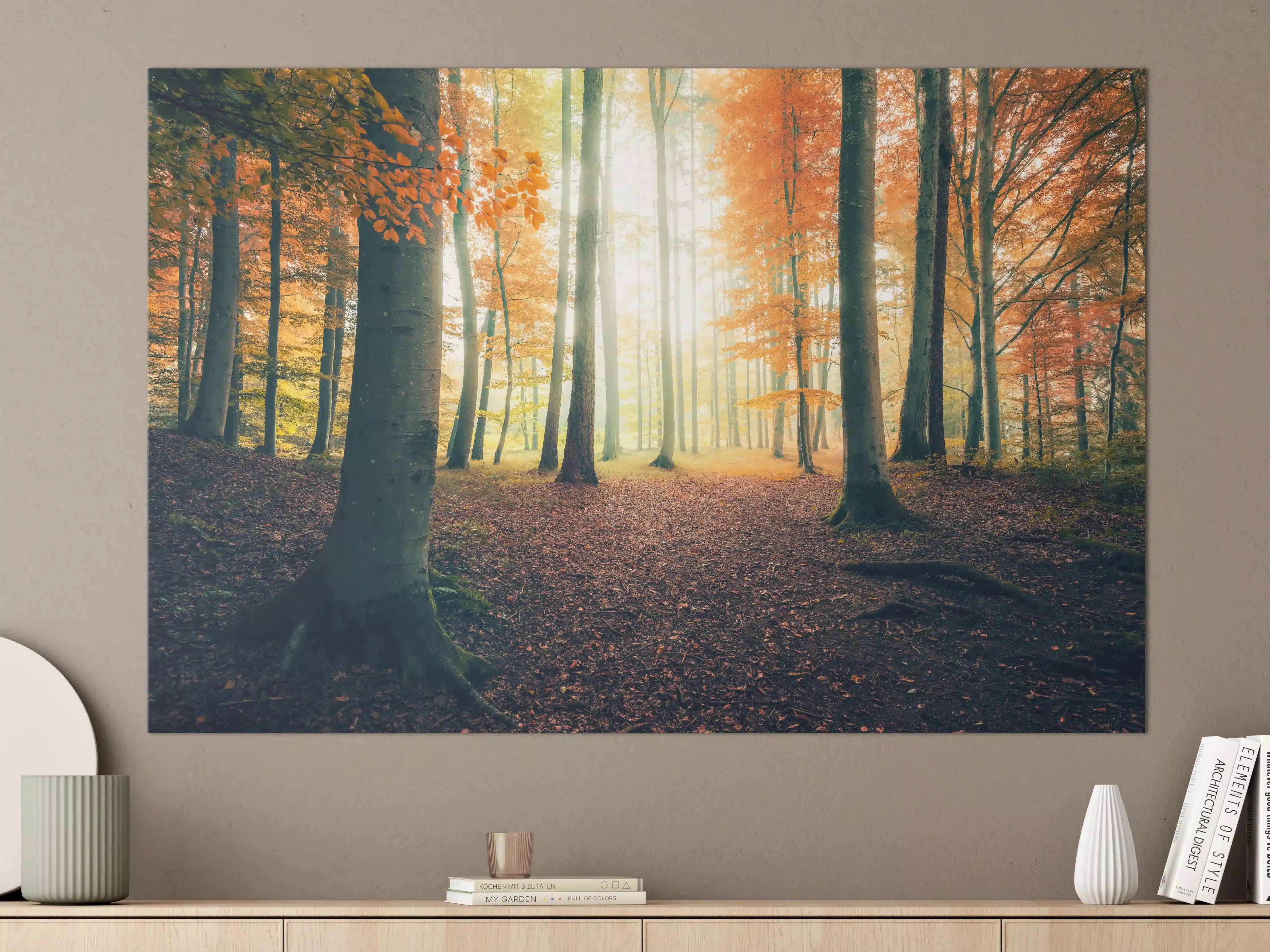 Große Wandbilder - Dunkler Wald im Herbst