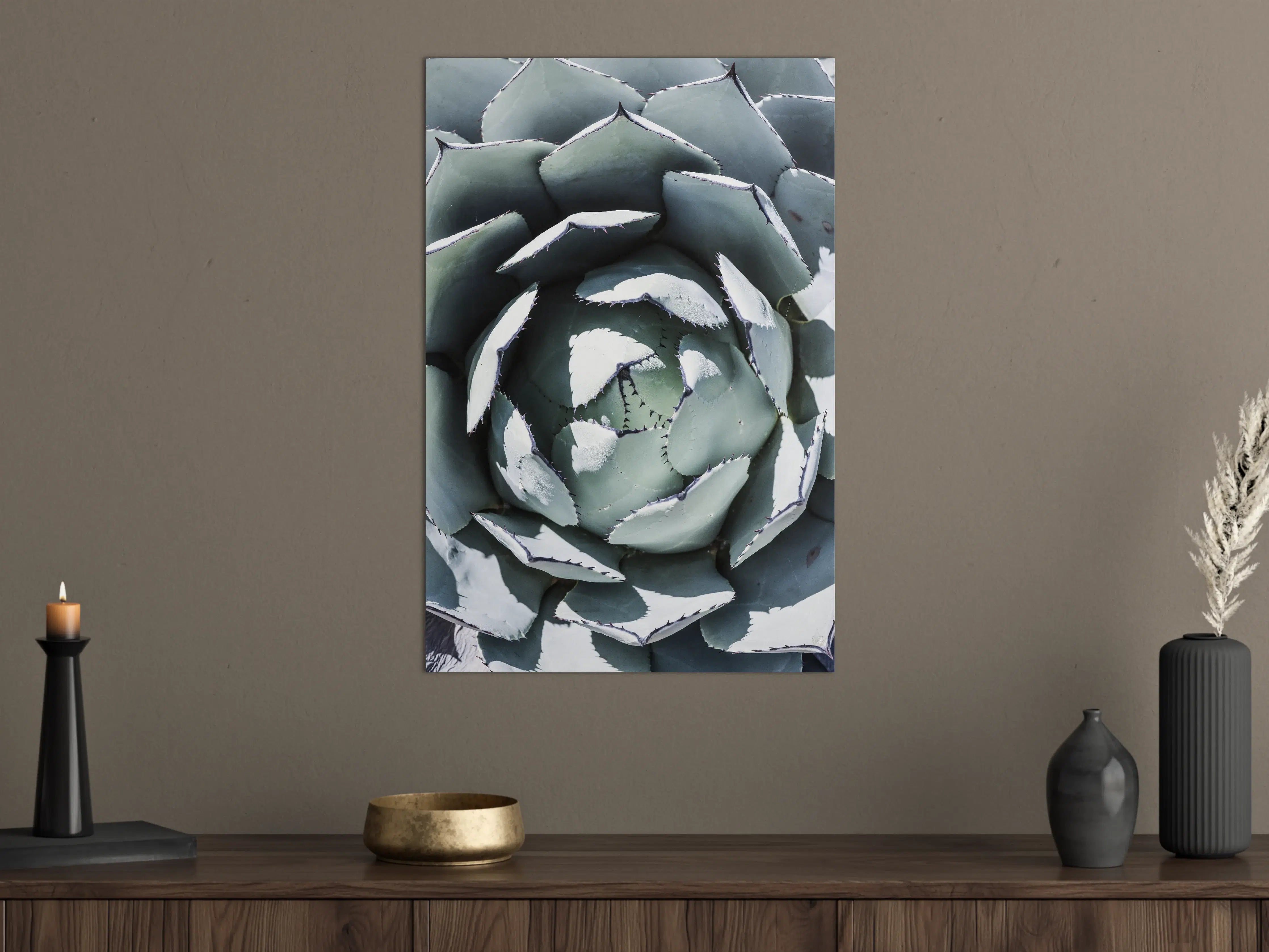 Große Wandbilder - Eindrucksvoller Blick auf eine Echeveria-Pflanze