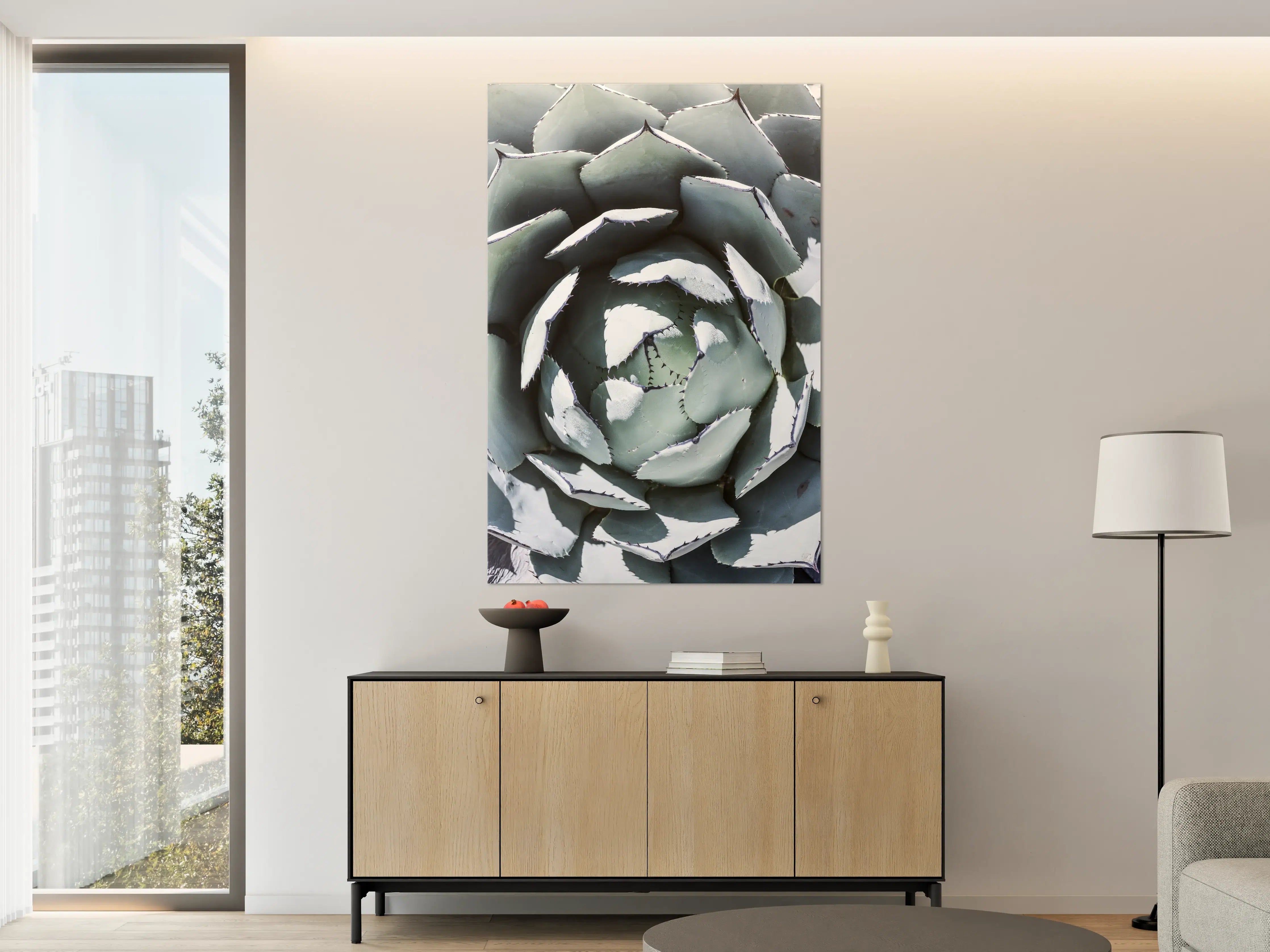 Große Wandbilder - Eindrucksvoller Blick auf eine Echeveria-Pflanze