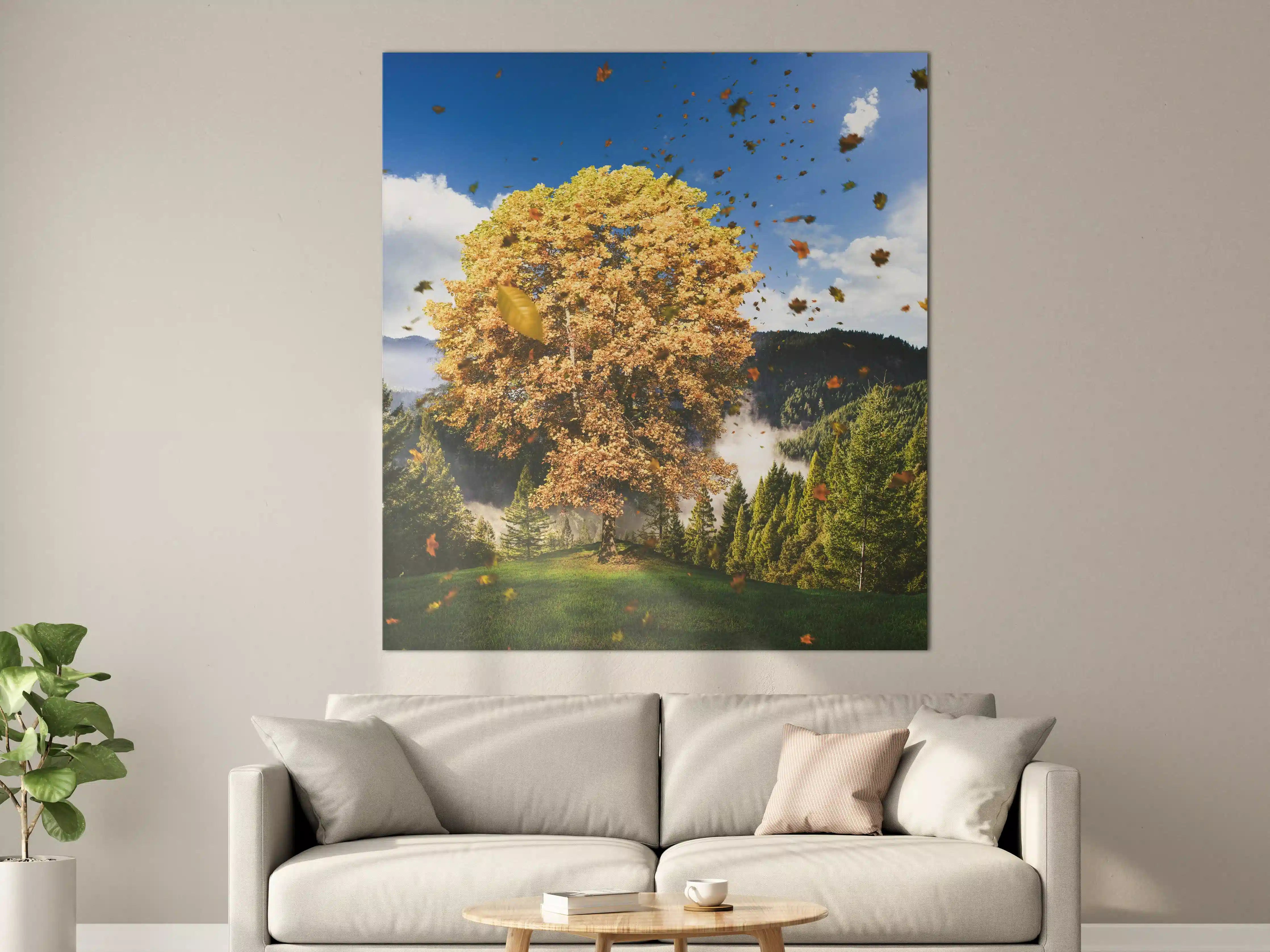 Große Wandbilder - Einzelner Herbst Baum im Wald bei Wind