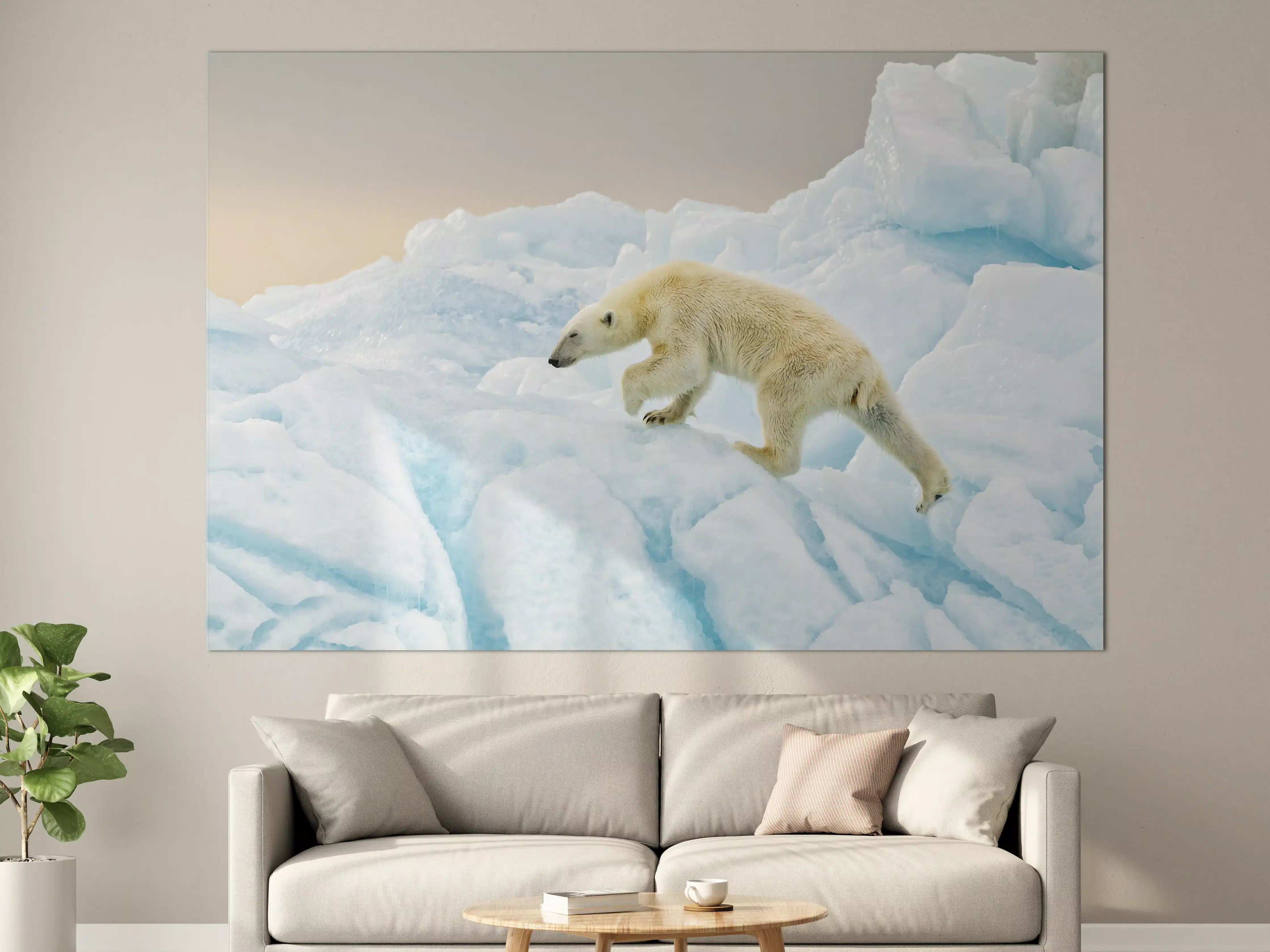 Große Wandbilder - Eisbär im arktischen Eis