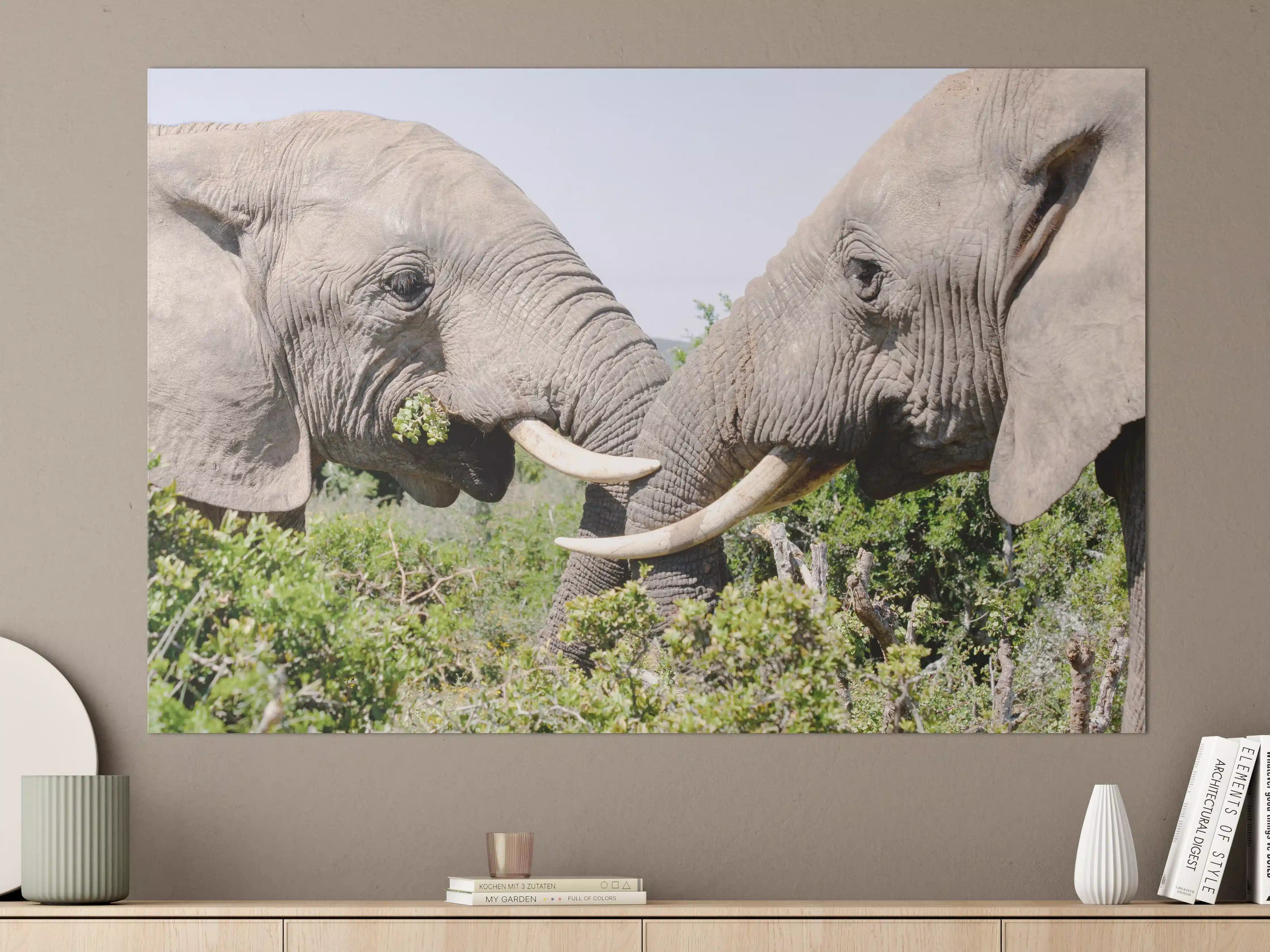 Große Wandbilder - Elefanten in freier Natur