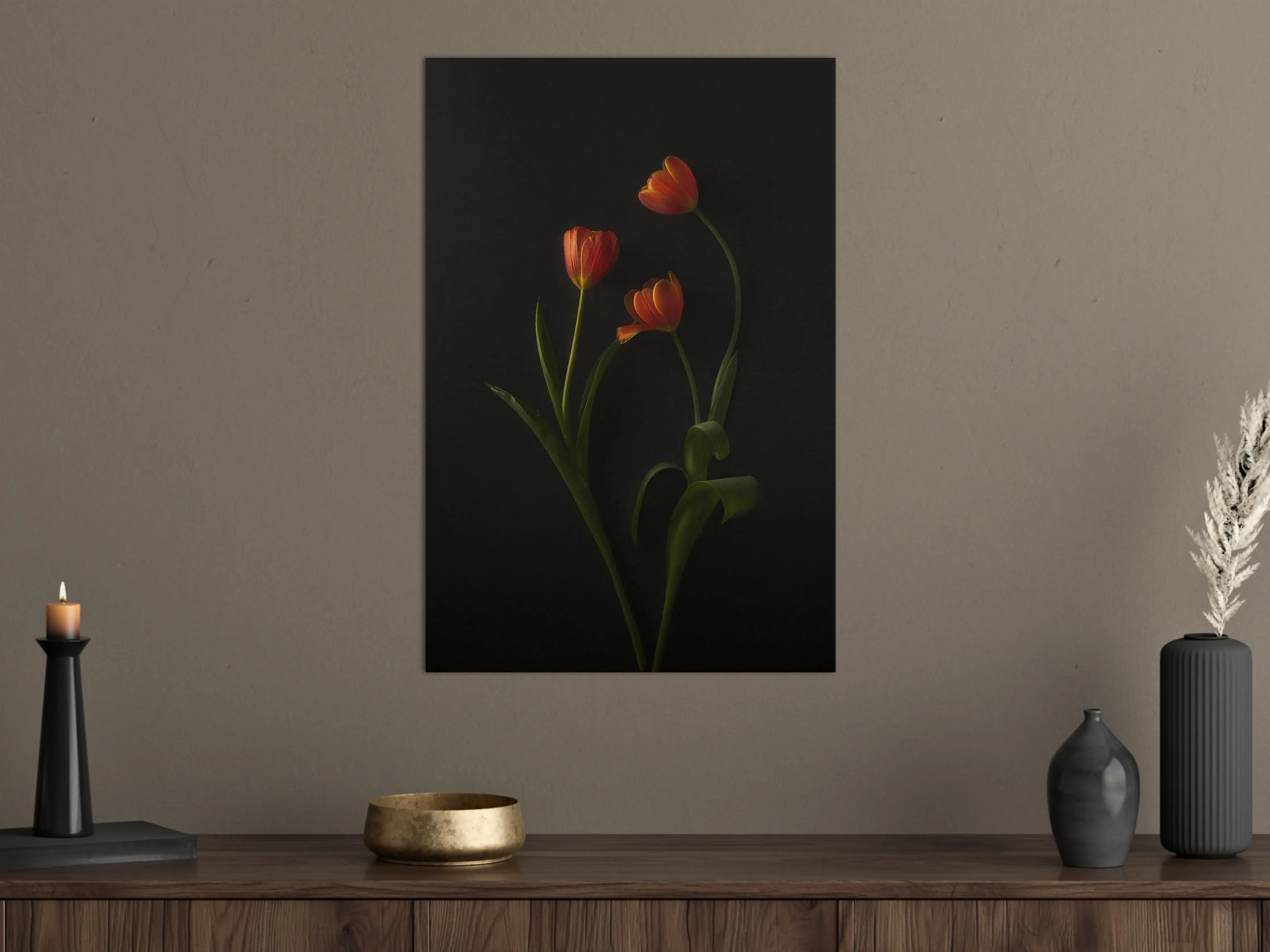 Große Wandbilder - Elegant rote Tulpen vor schwarzem Hintergrund