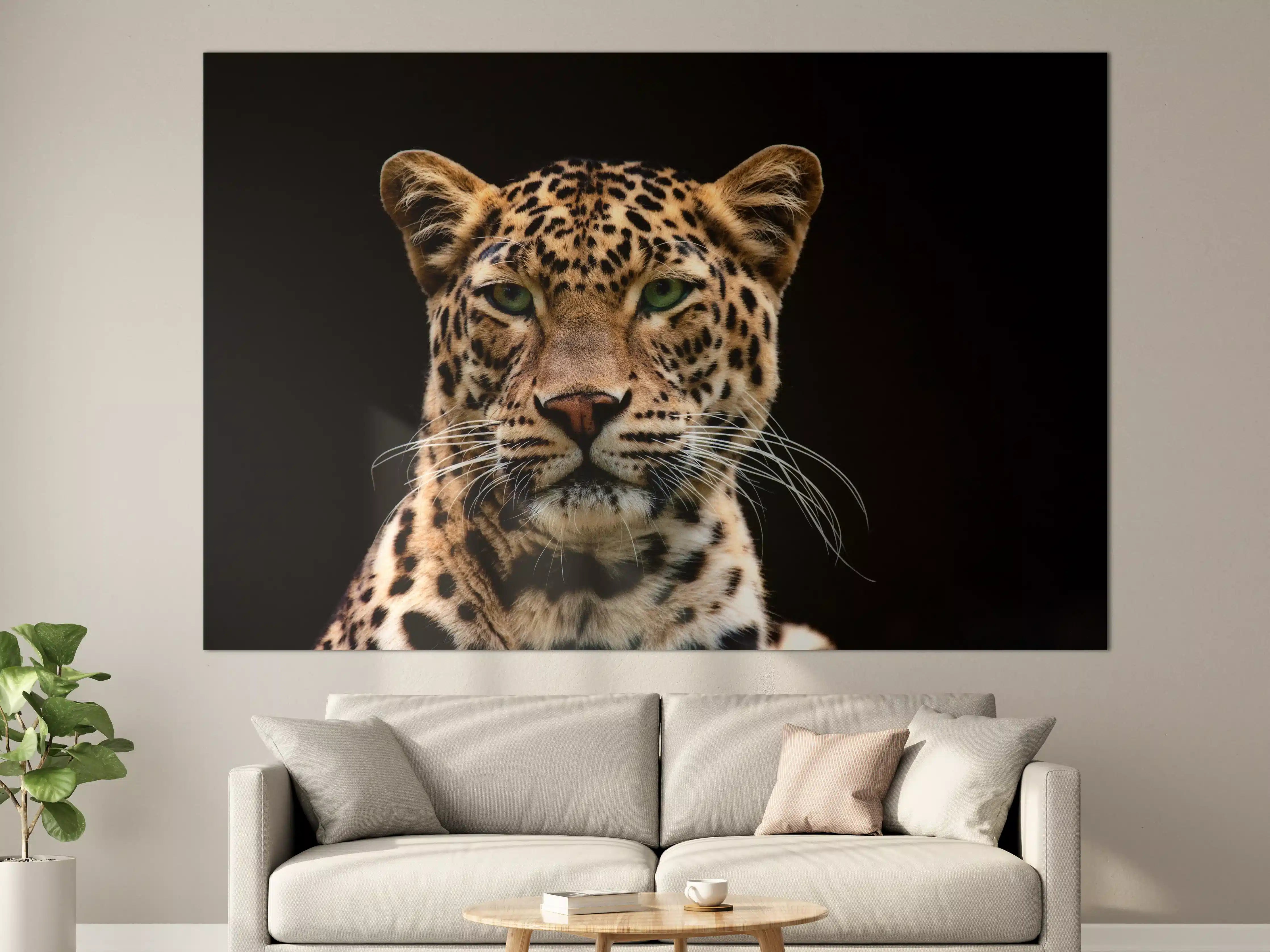 Große Wandbilder - Eleganter Leopard vor dunklem Hintergrund