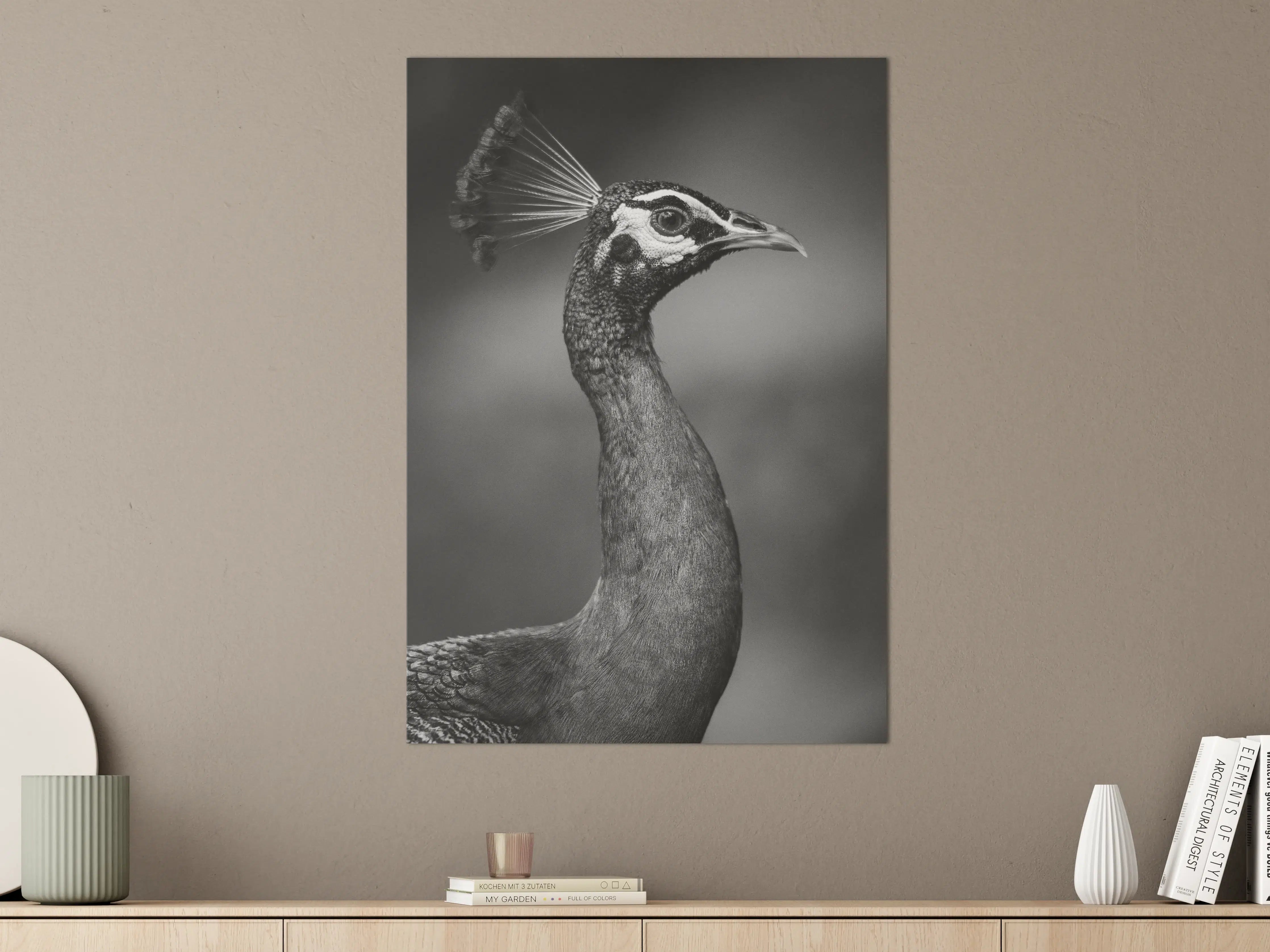 Große Wandbilder - Eleganter Pfau in Schwarz-Weiß