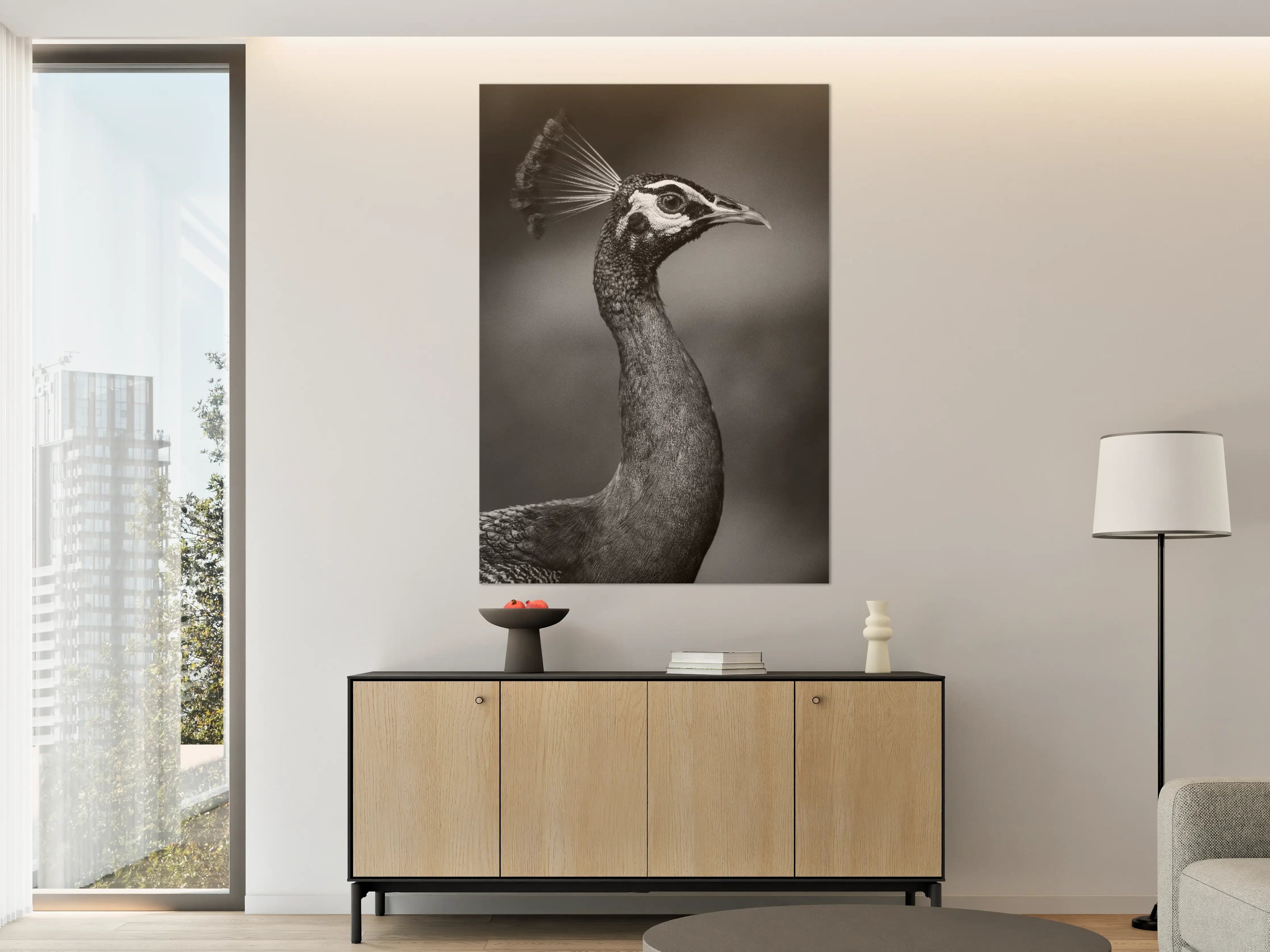 Große Wandbilder - Eleganter Pfau in Schwarz-Weiß
