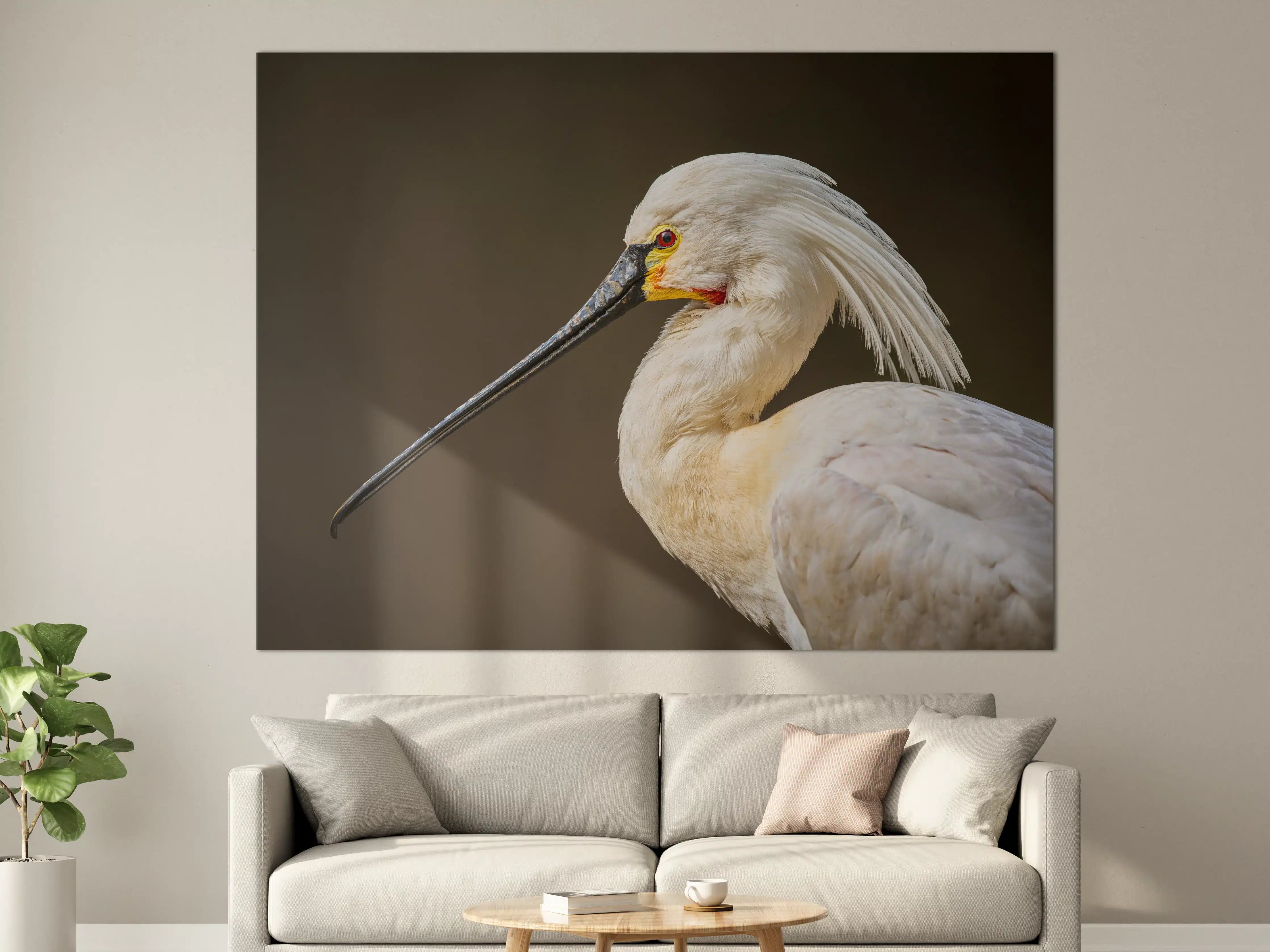 Große Wandbilder - Eleganter Weißer Storch