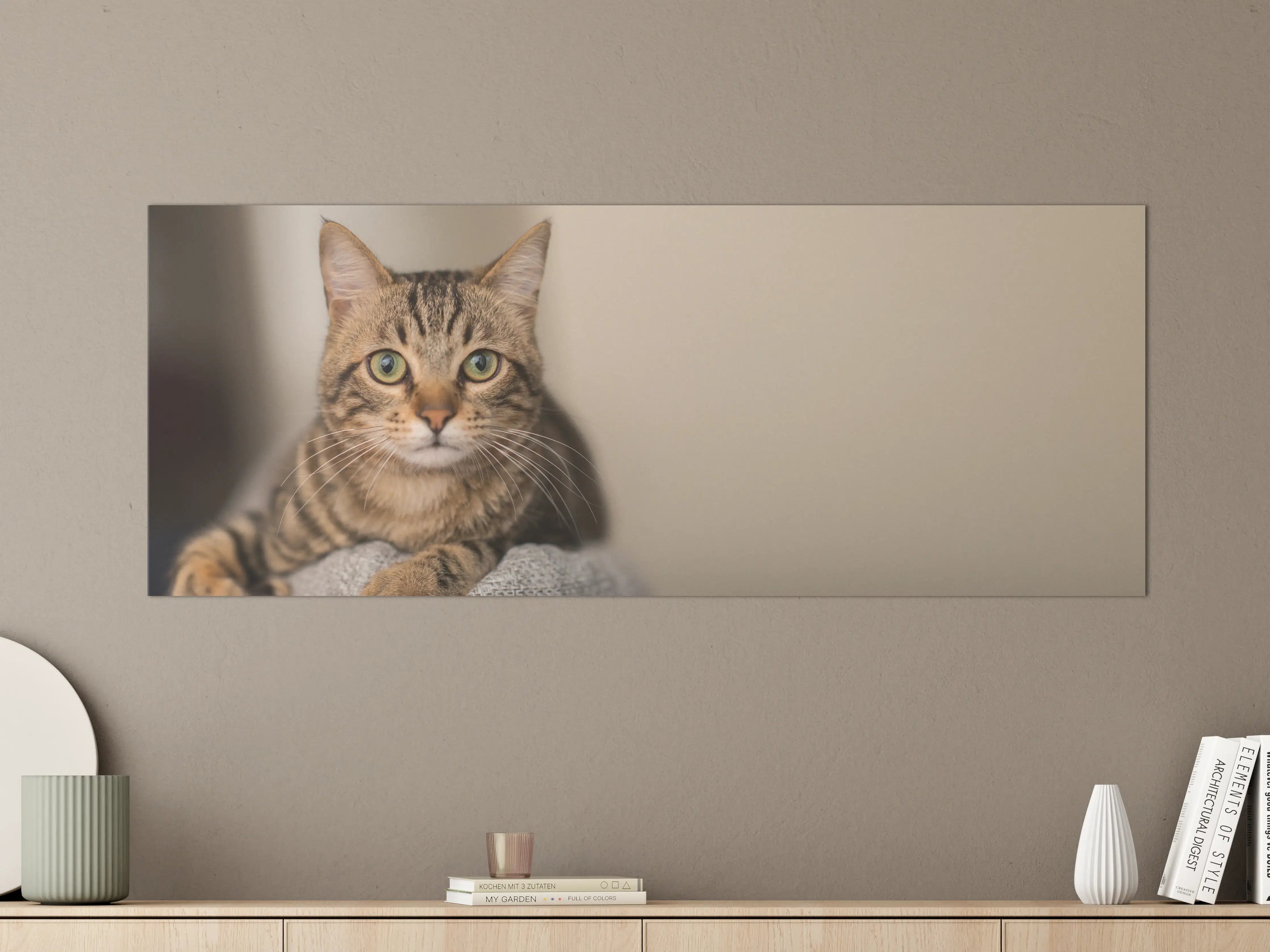 Große Wandbilder - Entspannte Hauskatze in Beige-Braun
