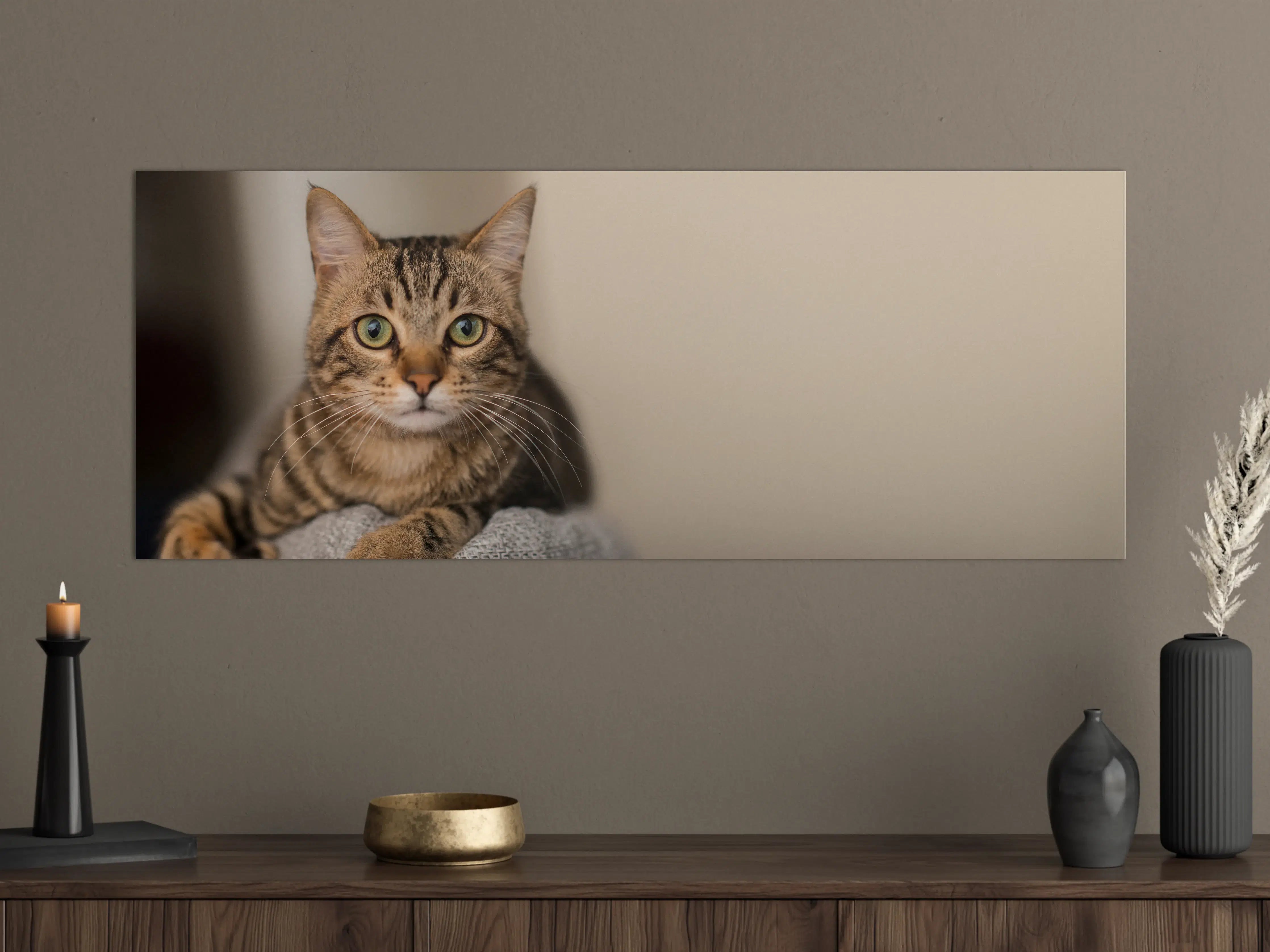 Große Wandbilder - Entspannte Hauskatze in Beige-Braun