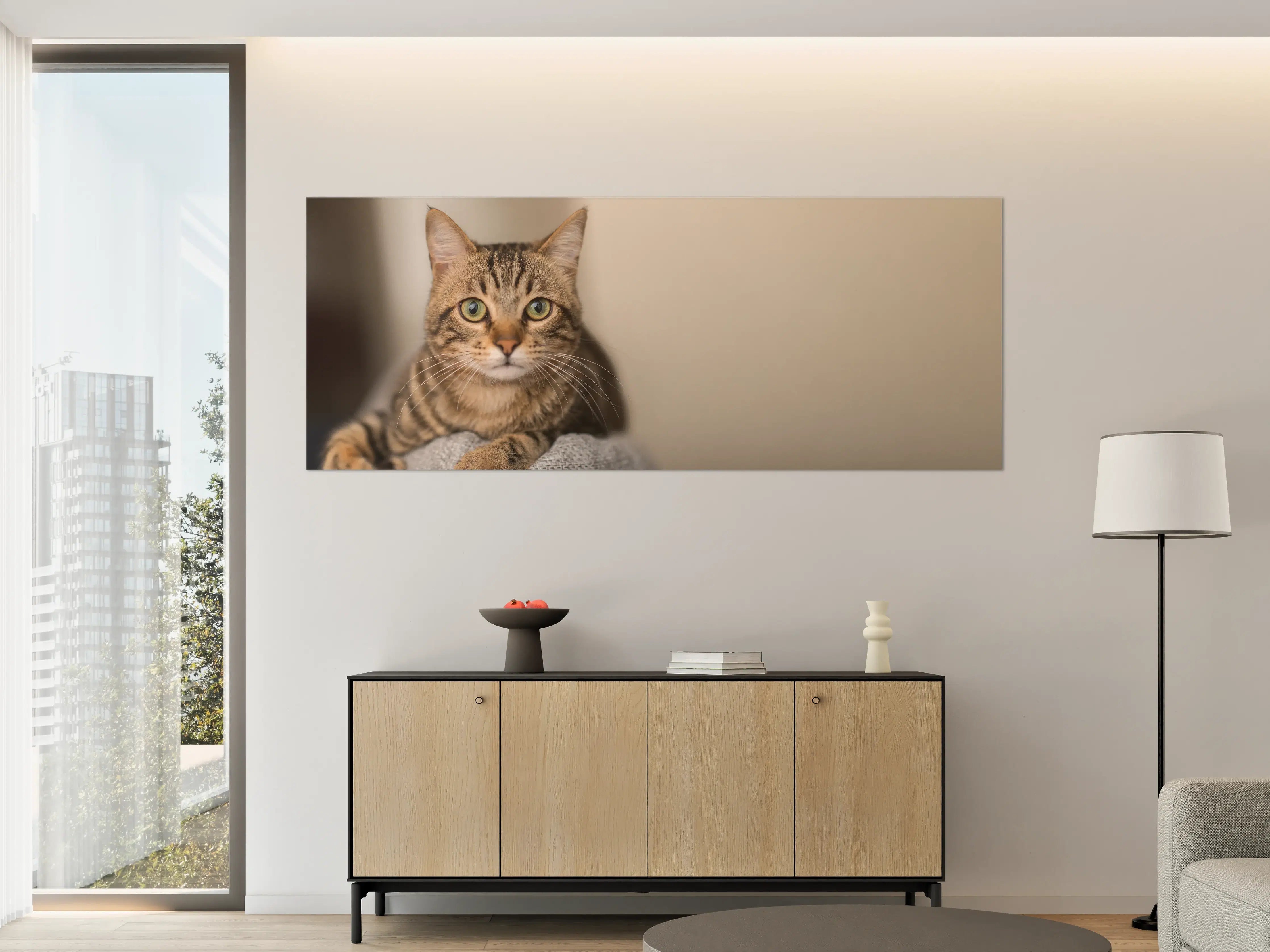 Große Wandbilder - Entspannte Hauskatze in Beige-Braun