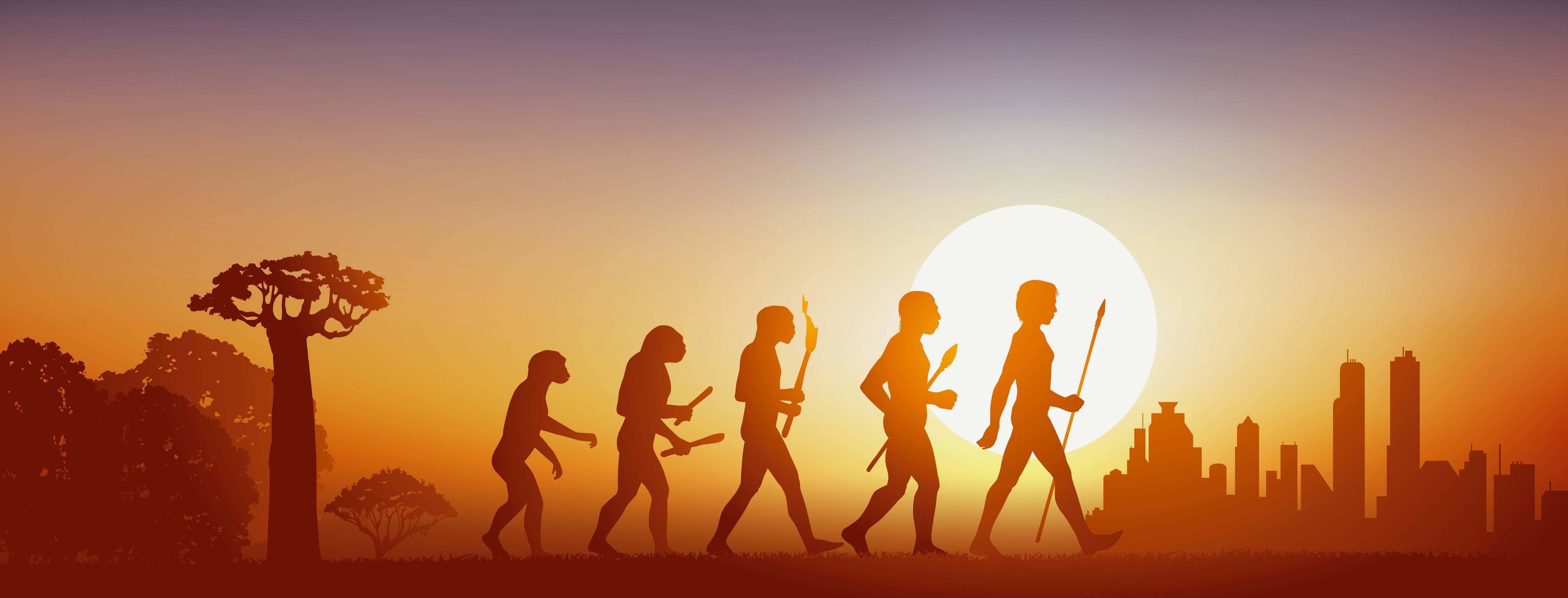 Große Wandbilder-Evolution des Menschen bei Sonnenuntergang