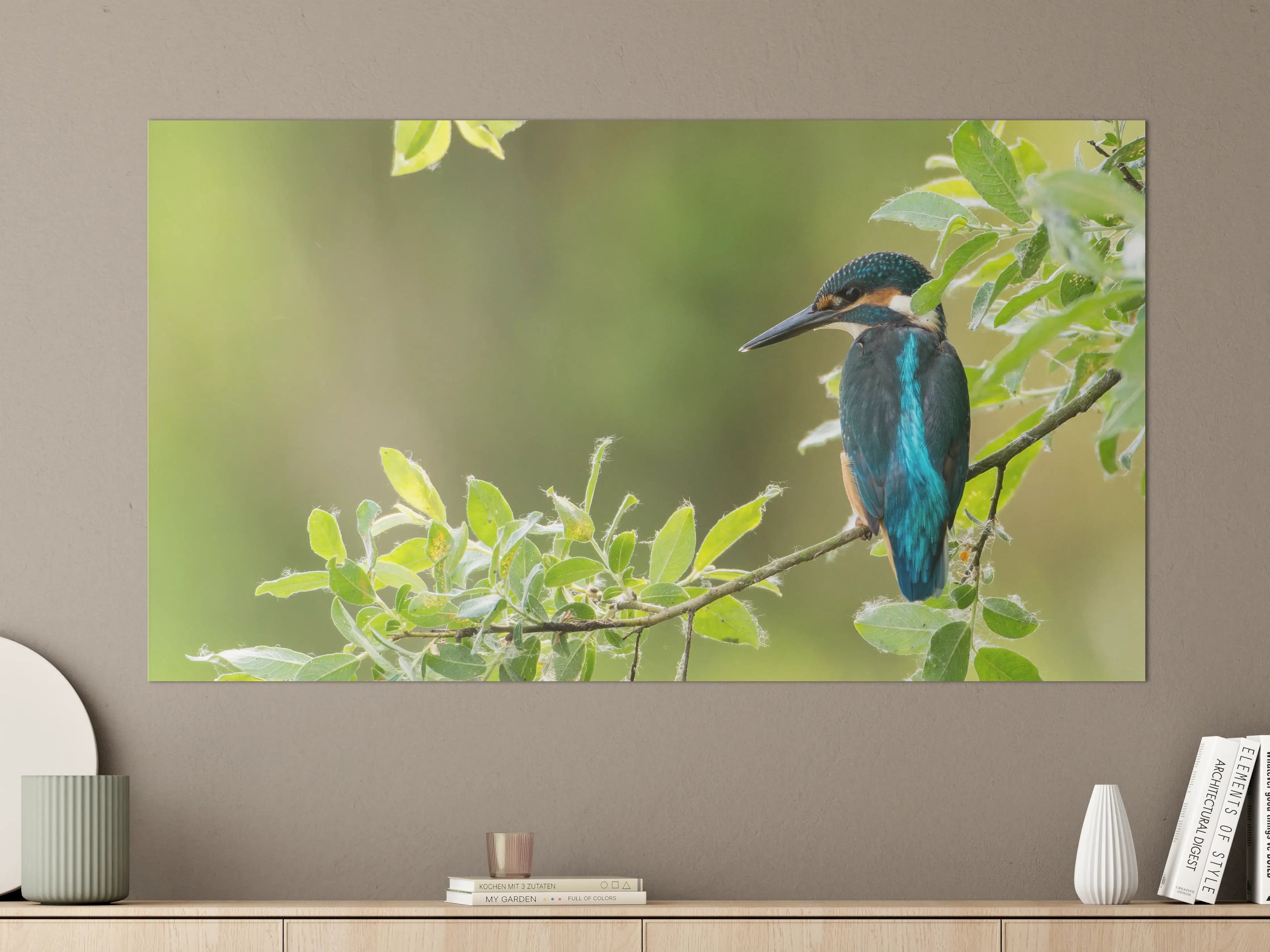 Große Wandbilder - Exotischer friedlicher Eisvogel