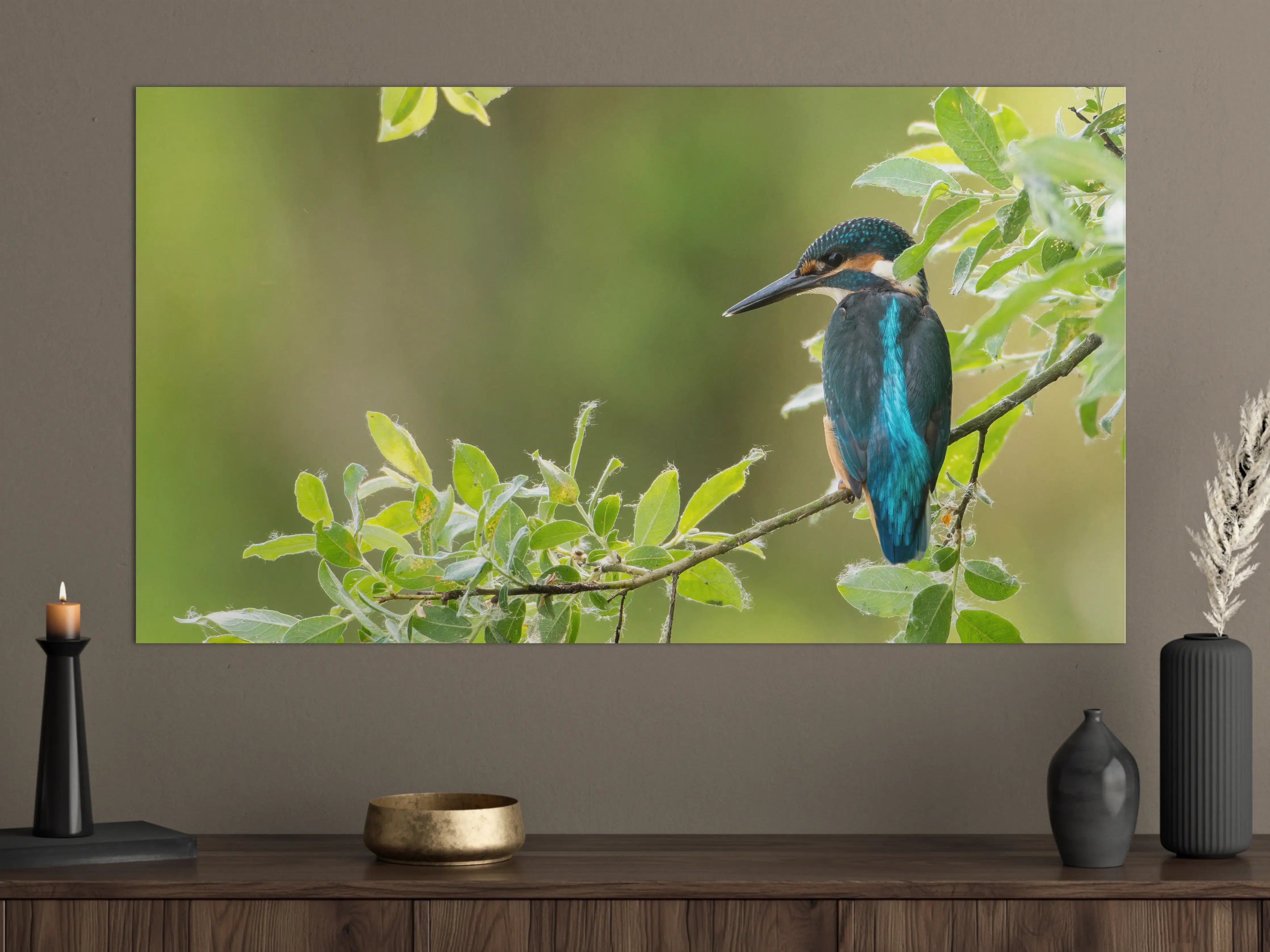 Große Wandbilder - Exotischer friedlicher Eisvogel
