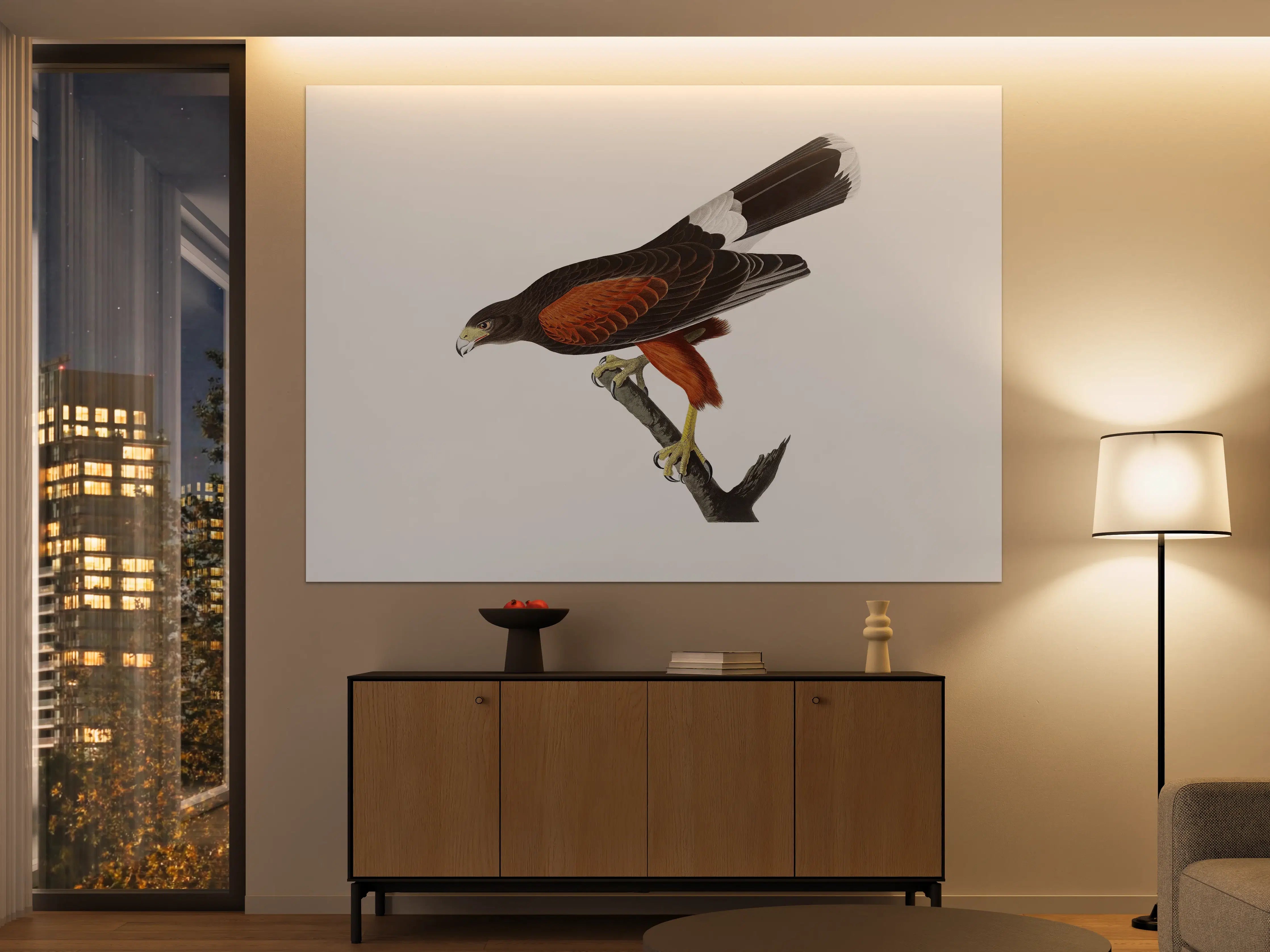 Große Wandbilder - Falken Portrait - John James Audubon
