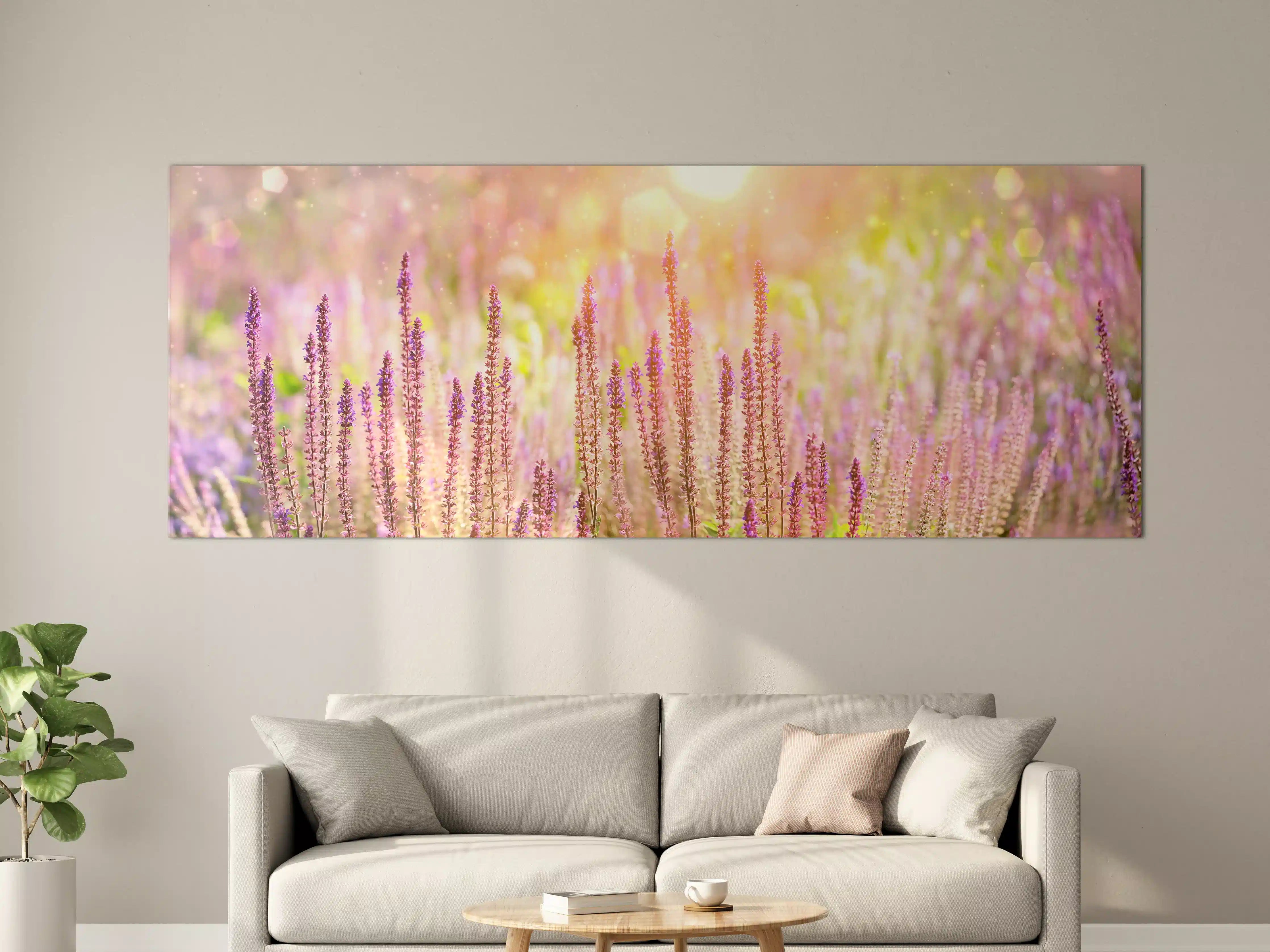 Große Wandbilder - Farbenfrohe Blüten der Ziersalbei-Pflanzen