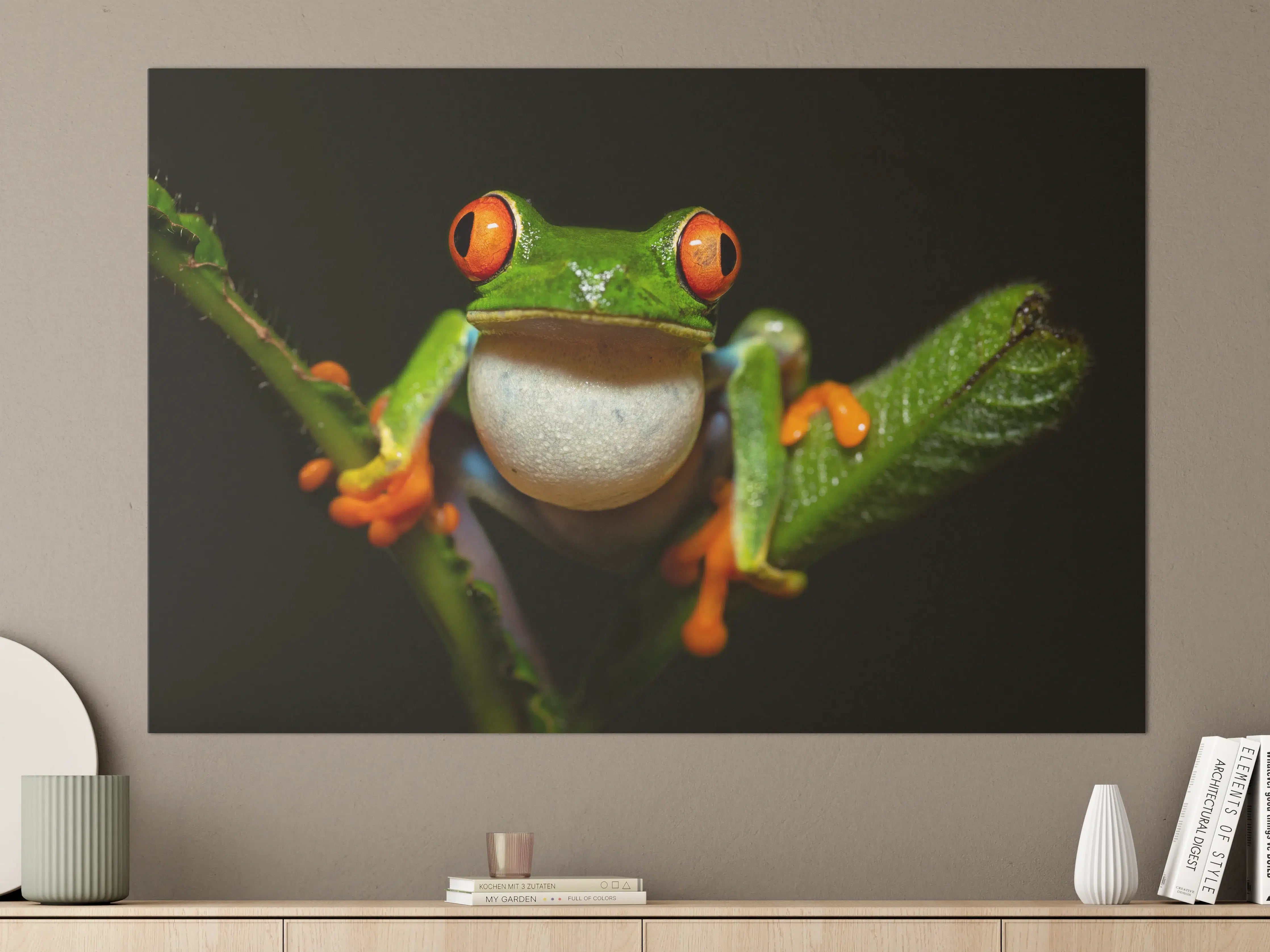 Große Wandbilder - Farbenfroher Baumsteiger-Frosch