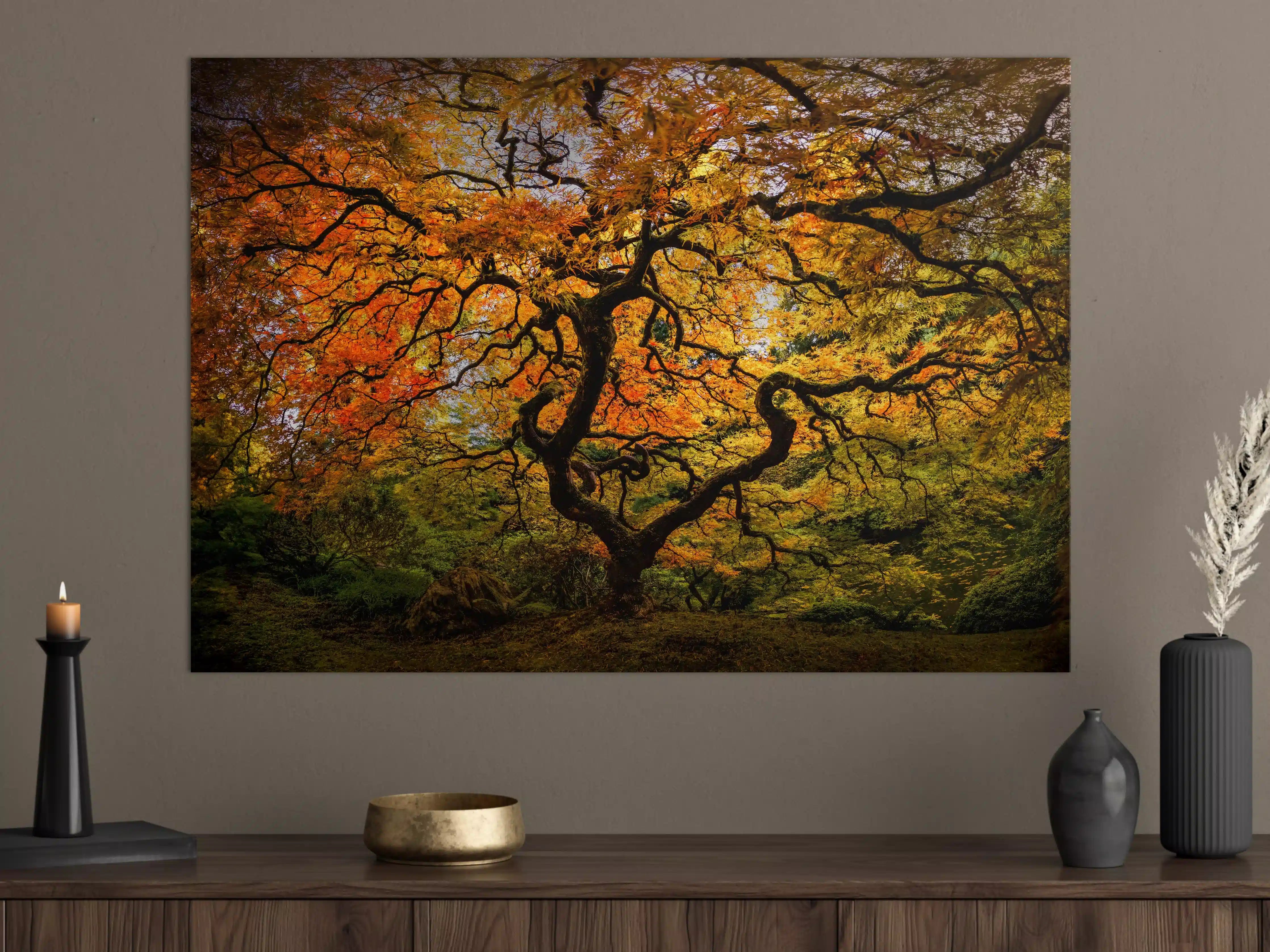 Große Wandbilder - Farbenfroher Herbstbaum in warmen Tönen