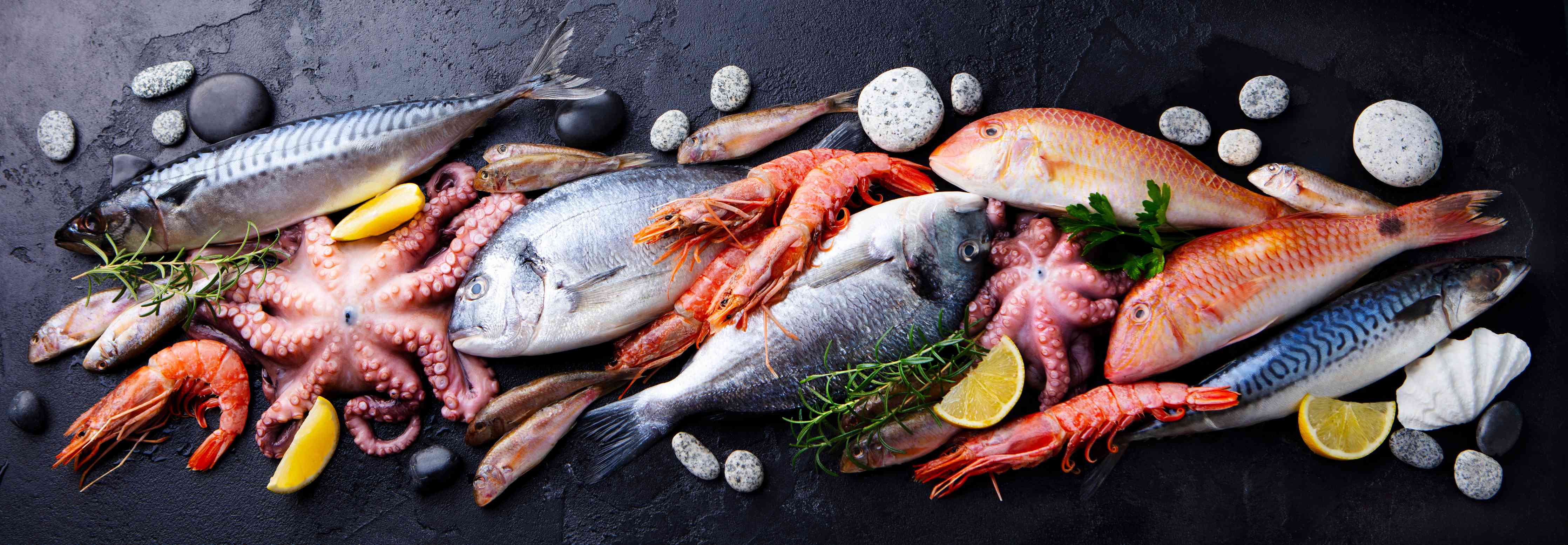 Große Wandbilder-Fische & Meeresfrüchte auf Schieferstein