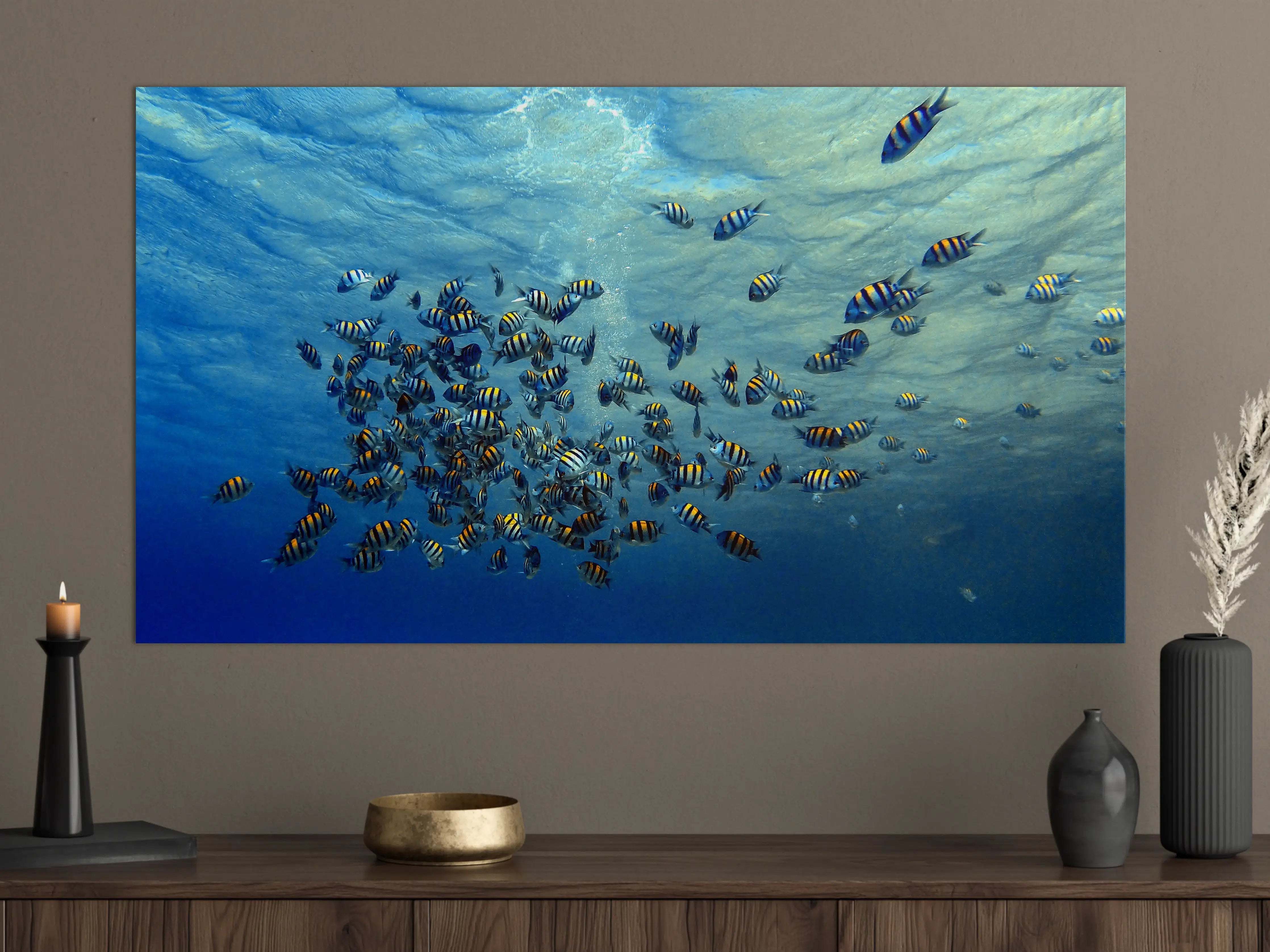 Große Wandbilder - Fische im klarem Meer