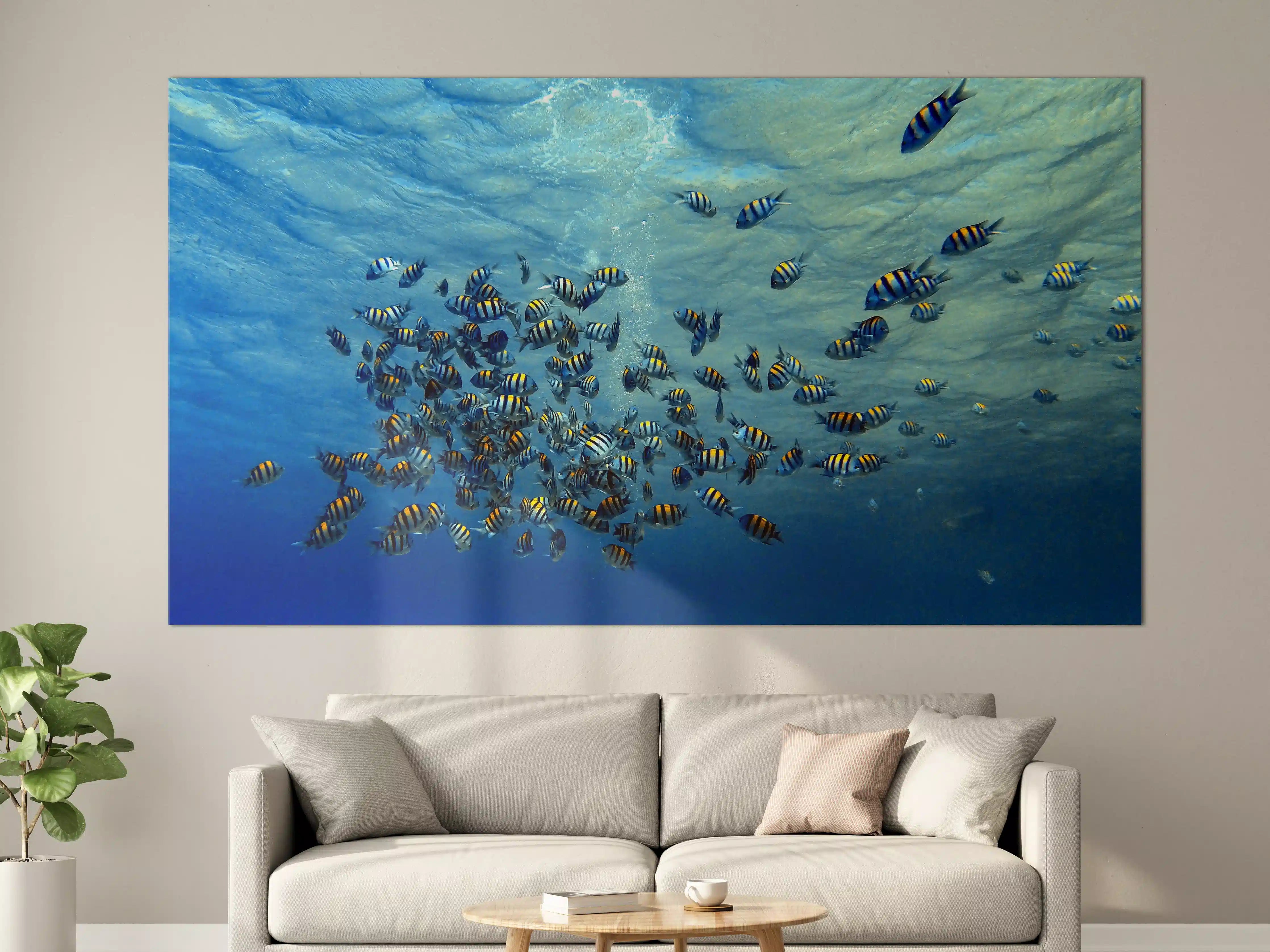 Große Wandbilder - Fische im klarem Meer