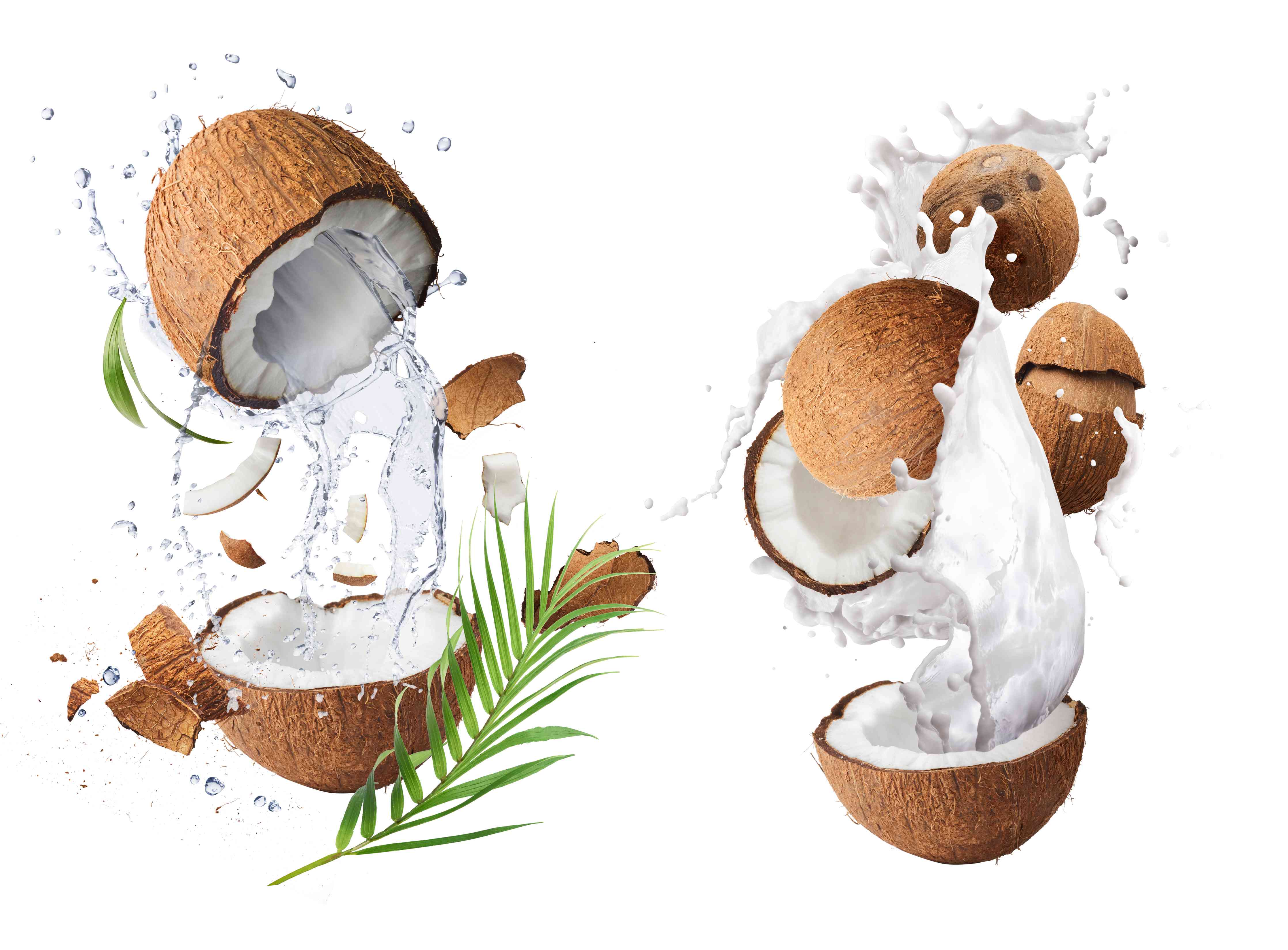Große Wandbilder-Fliegende Kokosnuss mit Milchsplash