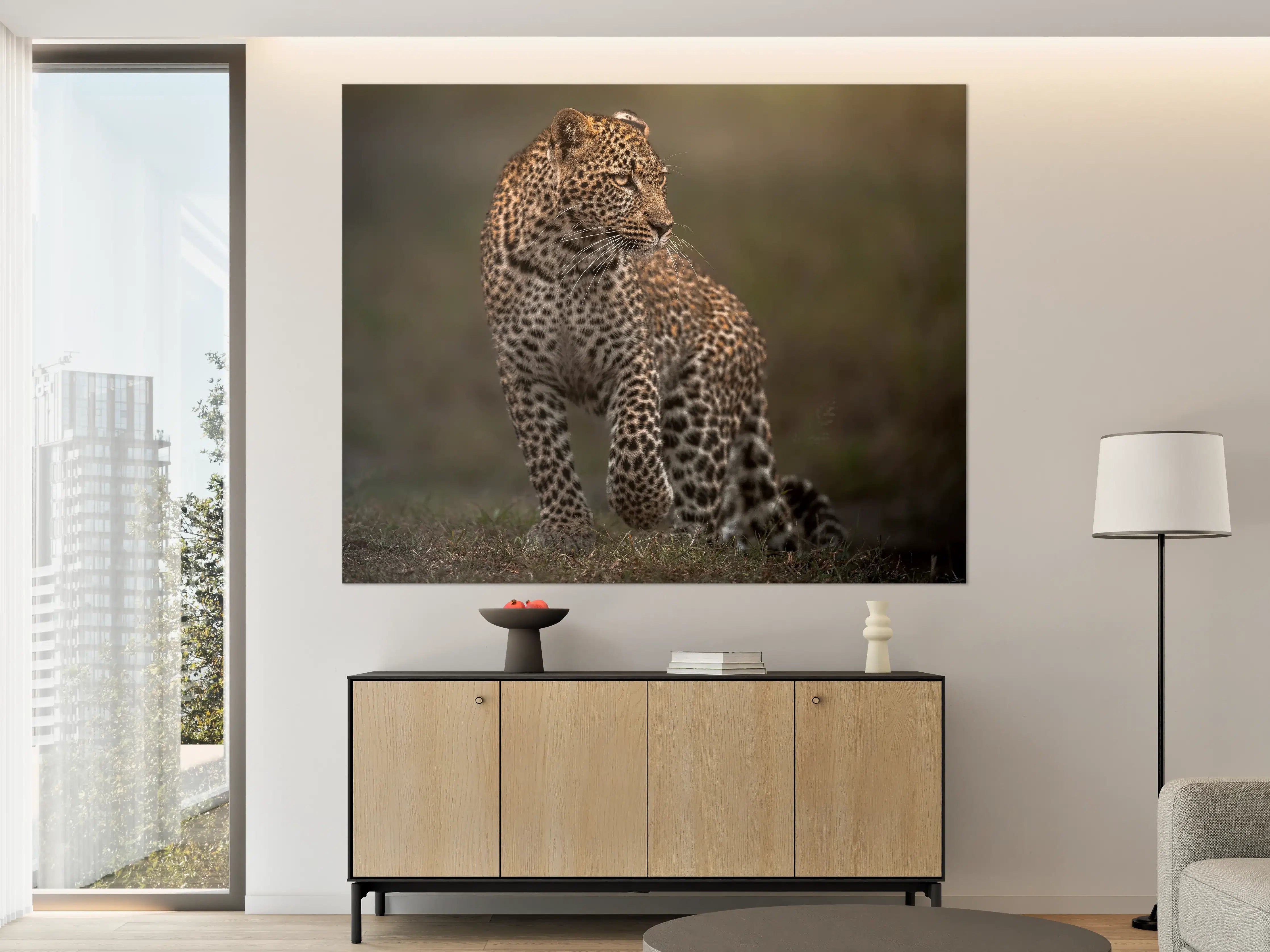 Große Wandbilder - Fokussierter Leopard - Savanne