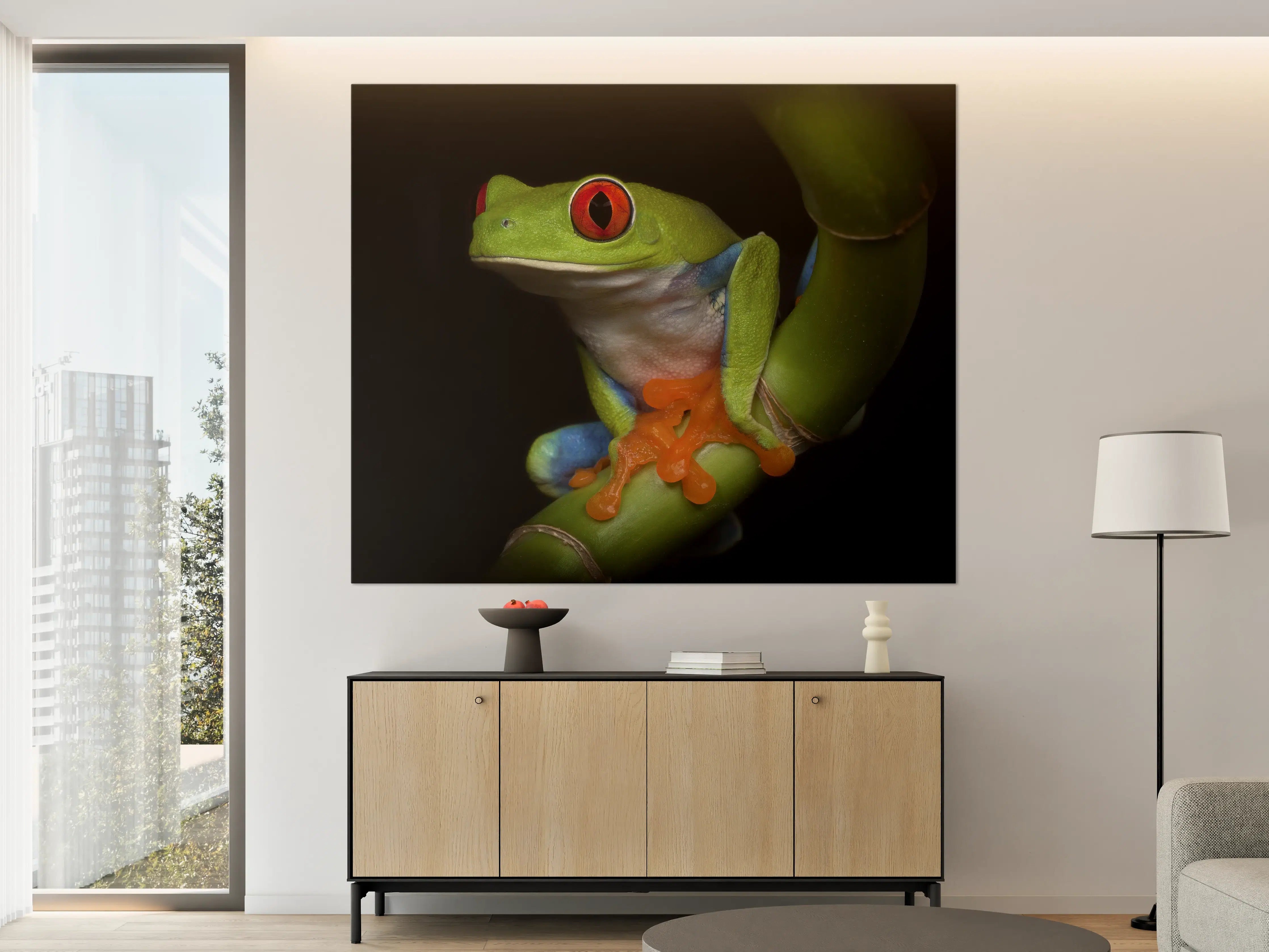 Große Wandbilder - Fröhliche Rotäugige Wildfrösche